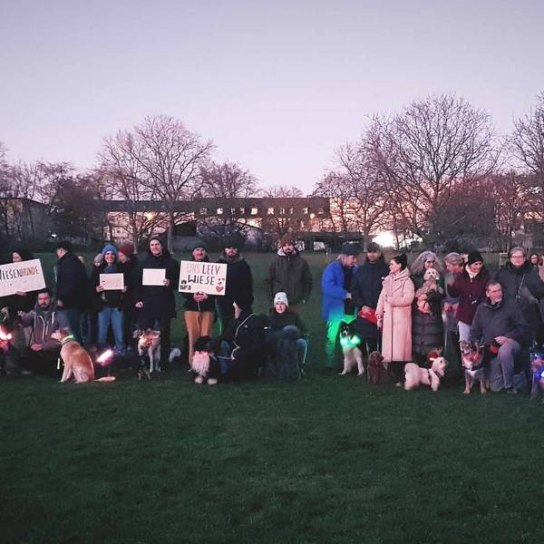 Herrchen und Hunde stehen mit Protestschildern im Park.