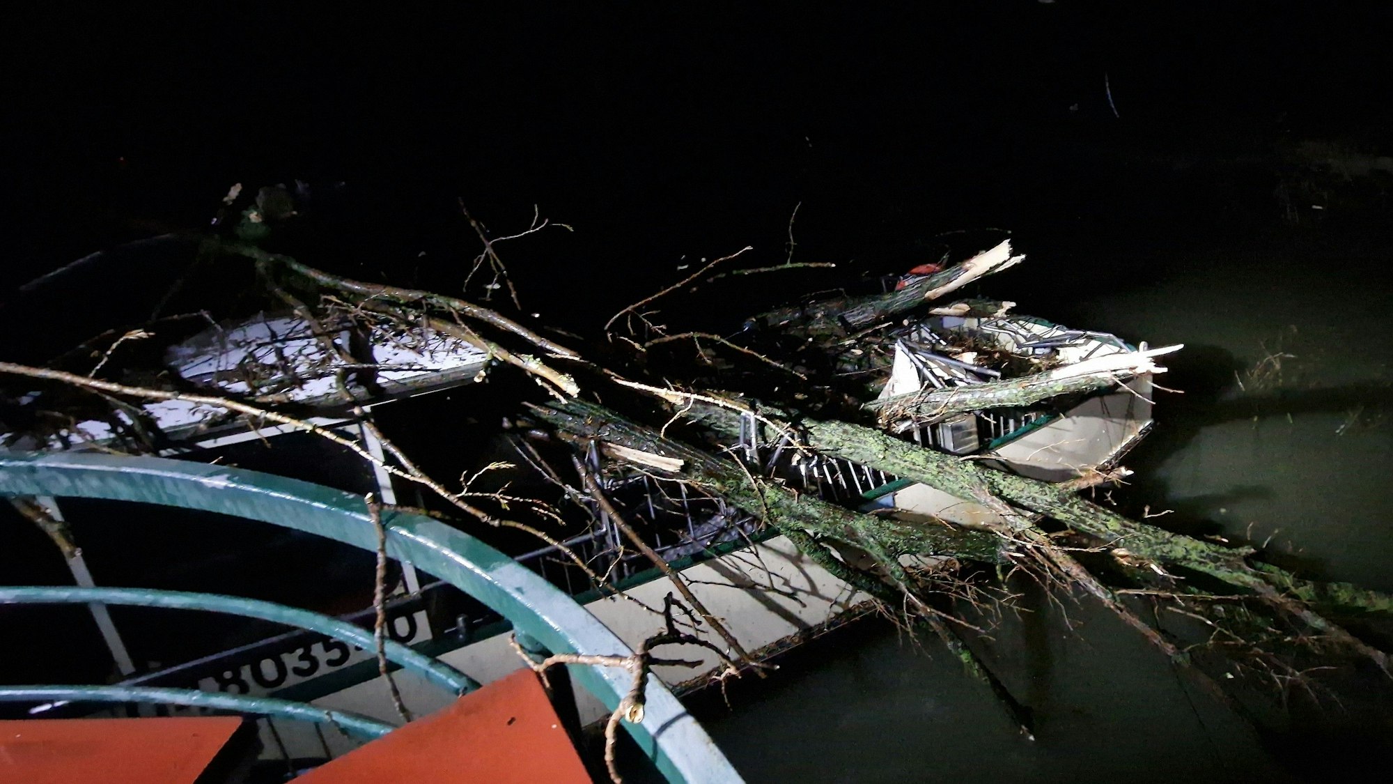Ein umgeknicker Baum am Rheinufer.
