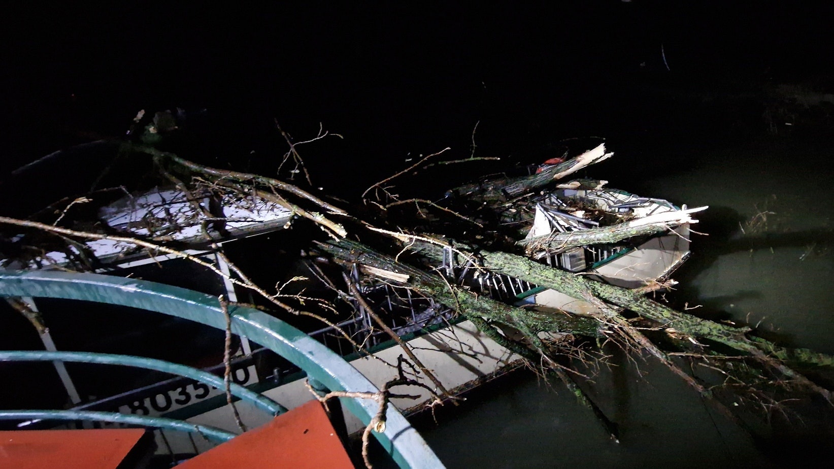 Ein umgeknicker Baum am Rheinufer.