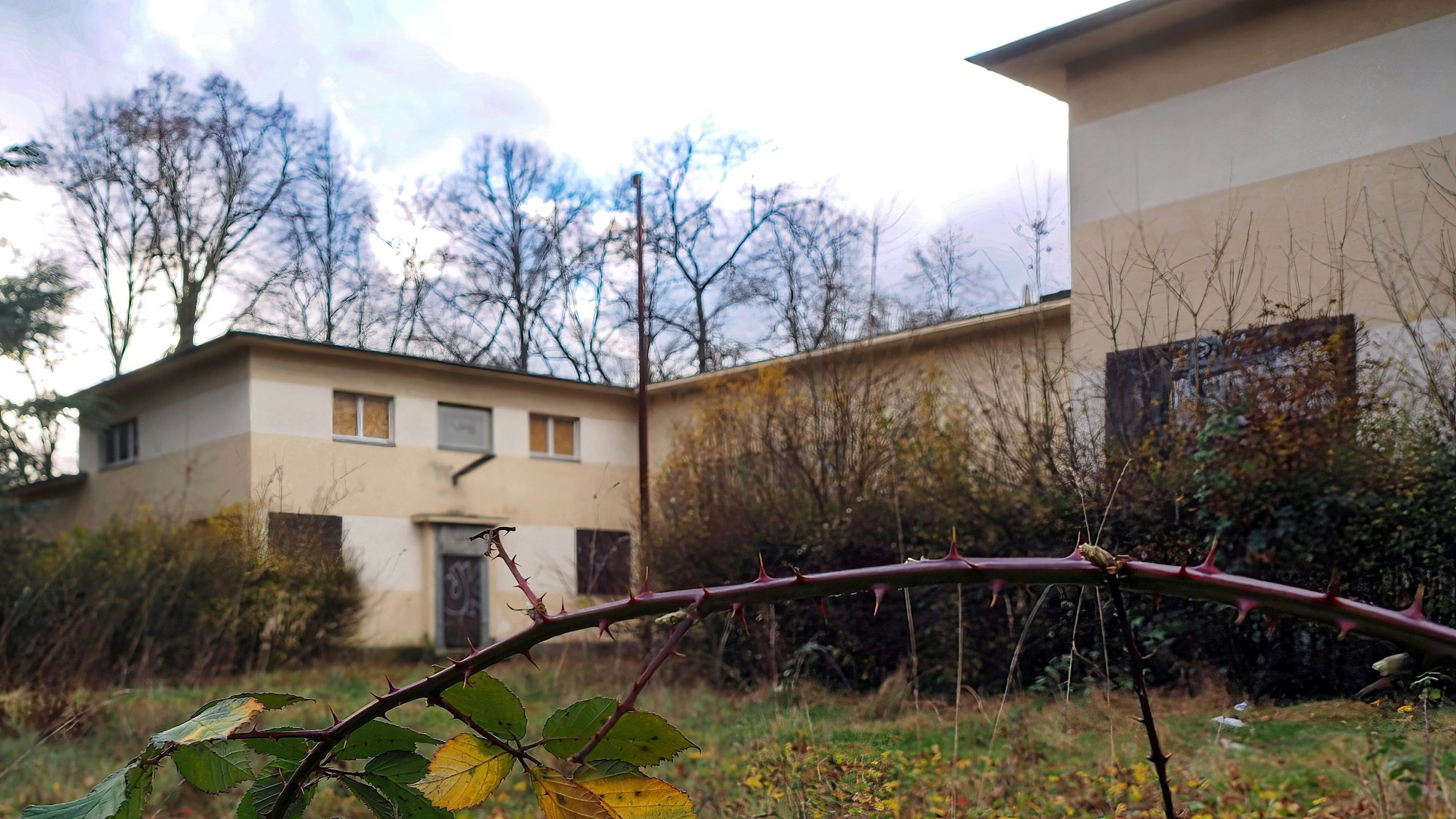 Ein beiges Haus am Wegerand.