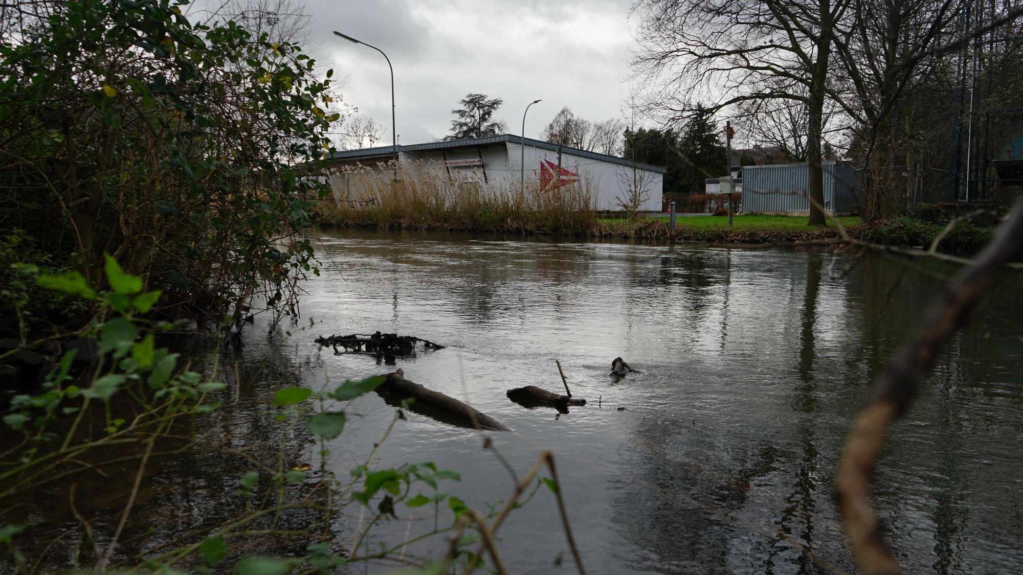 Das Ufer der Erft in Zieverich.
