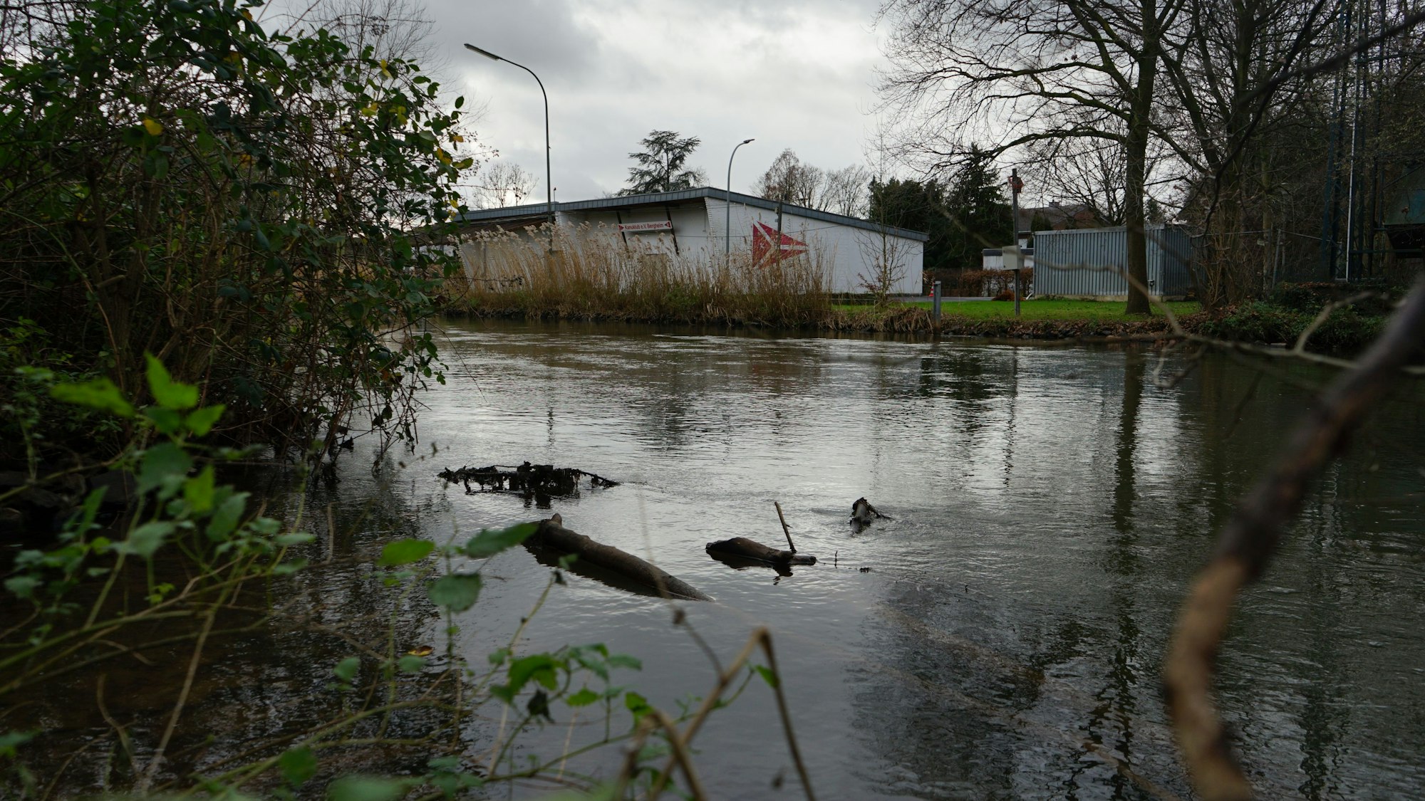 Das Ufer der Erft in Zieverich.