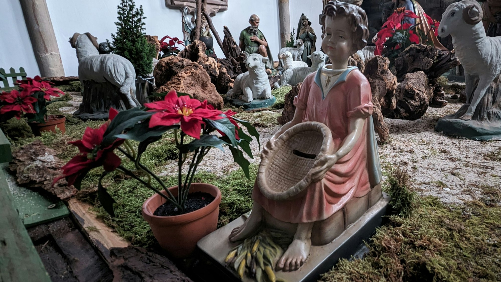 Missionsspardose aus der Marmagener Pfarrkirche, die am Rand der Weihnachtskrippe steht.