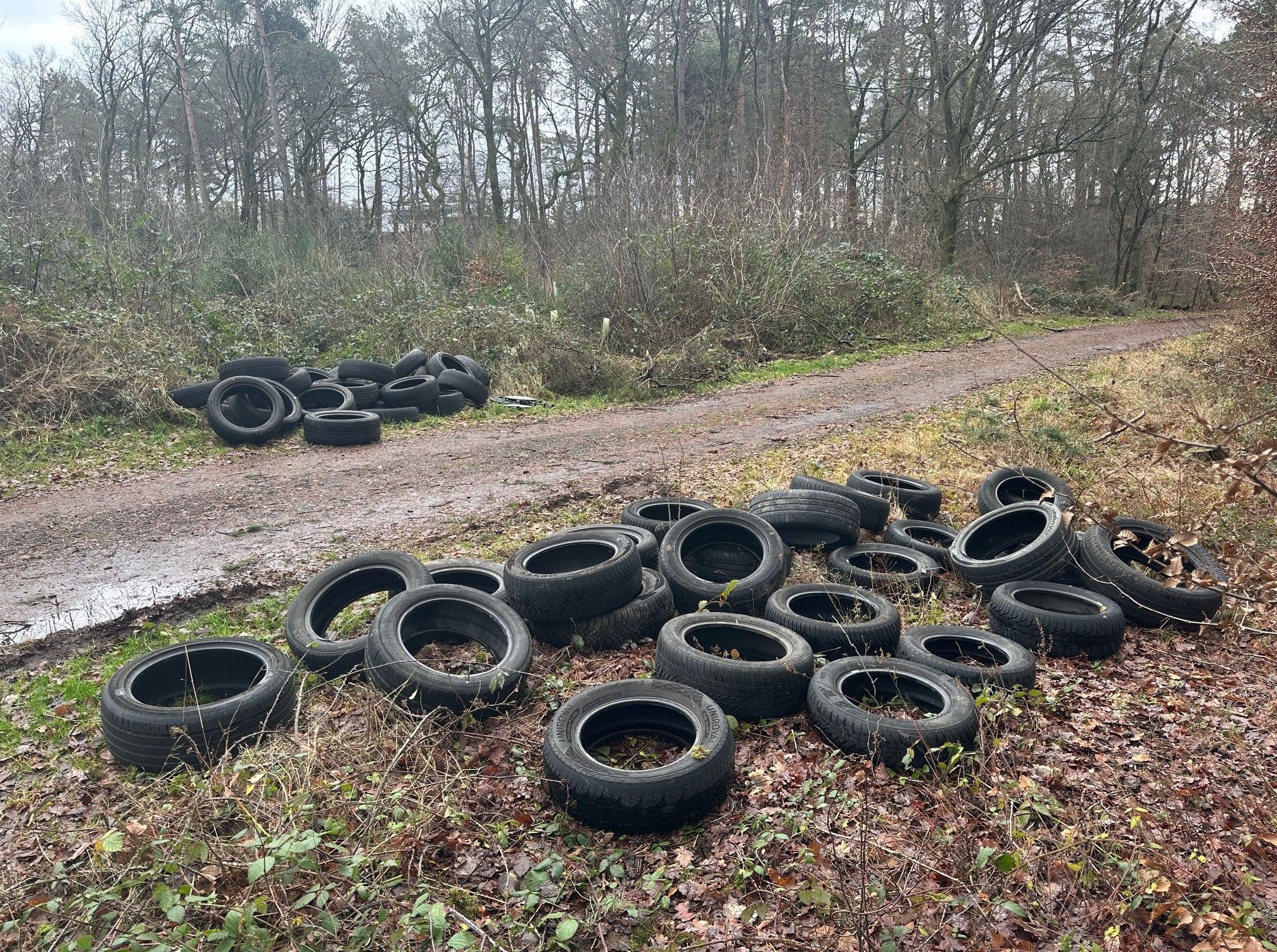 Mitarbeiter der Stadt Siegburg sammelten die Reifen, um sie dann im Troisdorfer Wertstoffhof zu entsorgen.