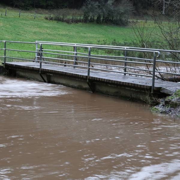 Der Wolferter Bach ist über die Ufer getreten, das Wasser steht bis n führt Hochwasser.