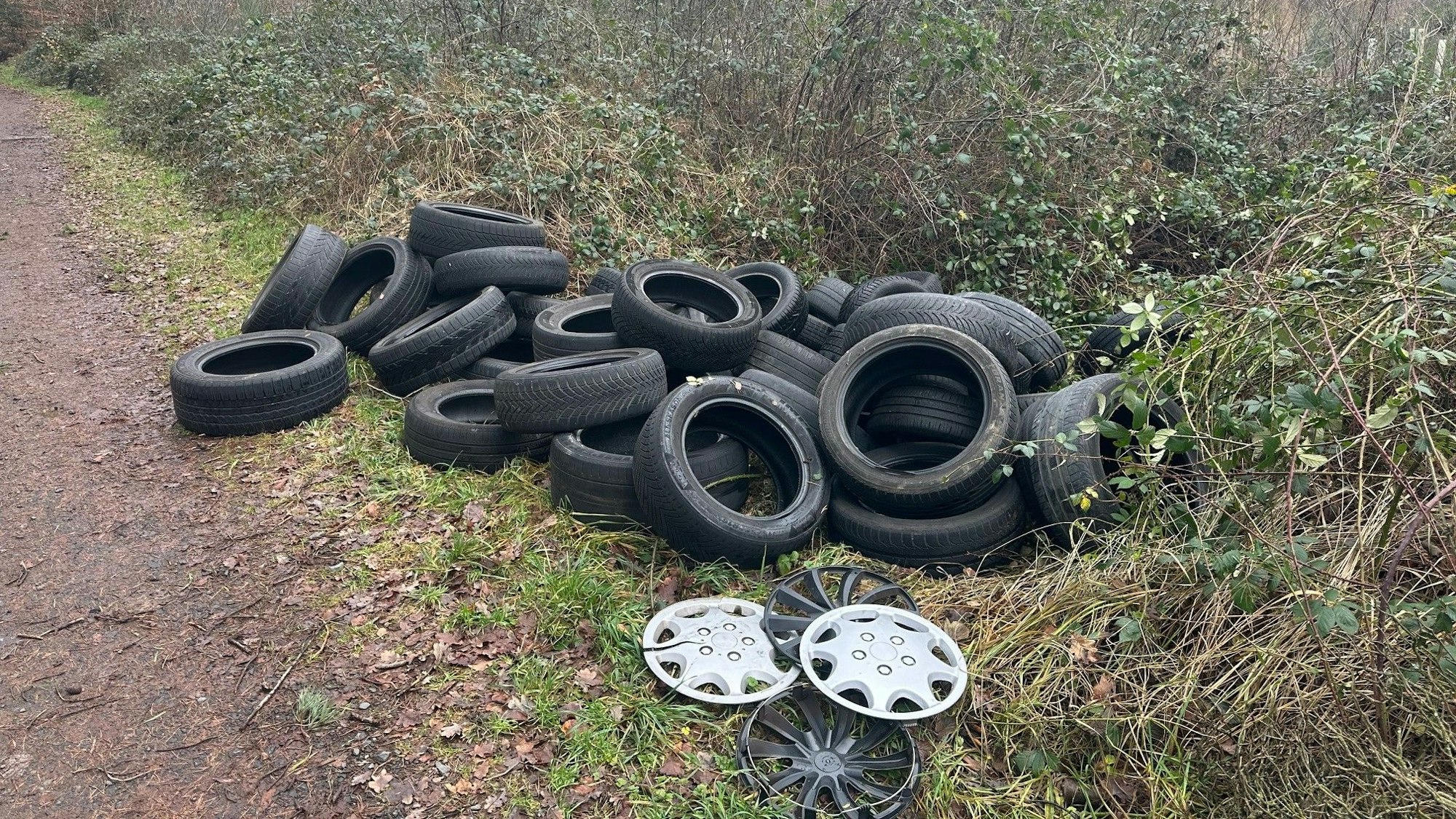 An einem Waldweg im Siegburger Wald unweit der Trinkwasseraufbereitungsanlage Siegelsknippen haben Unbekannte zirka 80 Reifen illegal abgeladen.