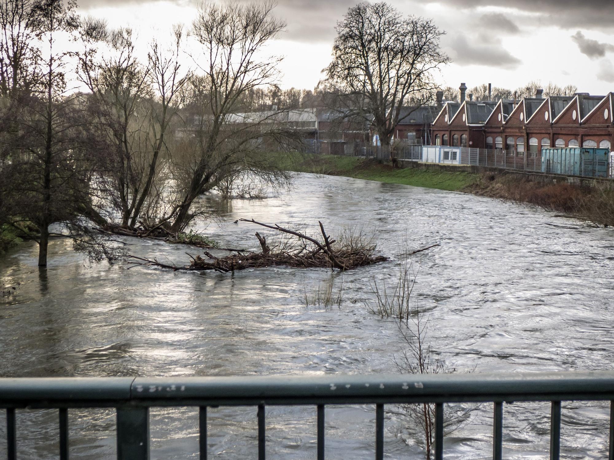 Die Wupper mit Hochwasser an der Schusterinsel