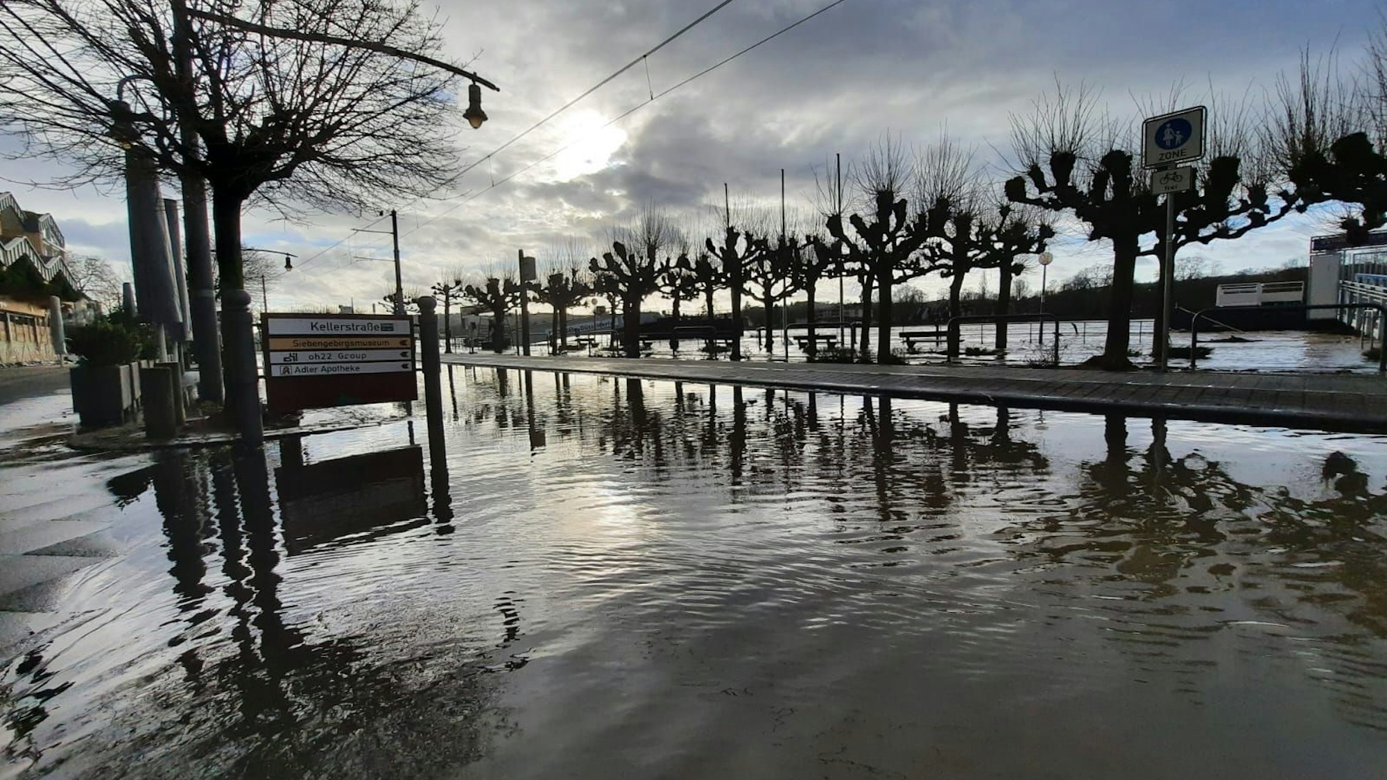 Auf einer Straße steht das Wasser, im Hintergrund sind die Bäume auf der Rheinpromenade zu sehen,