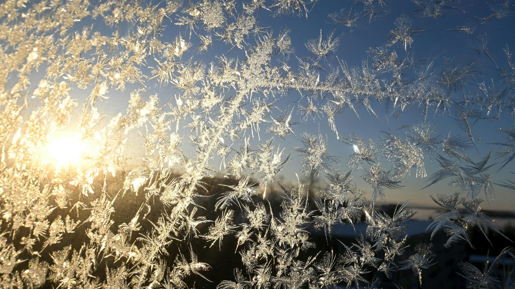 Sonnenlicht fällt auf Eiskristalle, die sich an einer Fensterscheibe gebildet haben.