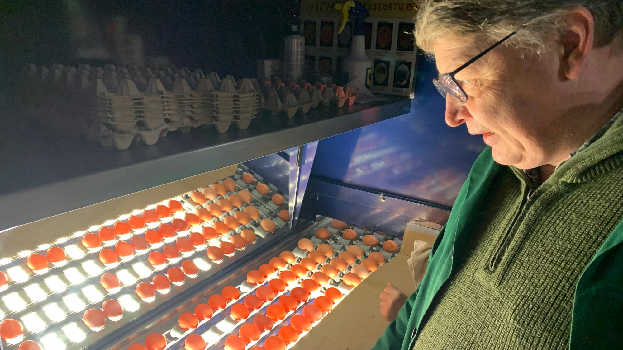 Franz-Josef Telohe kontrolliert frisch gelegte Eier auf einer Lichtleiste.