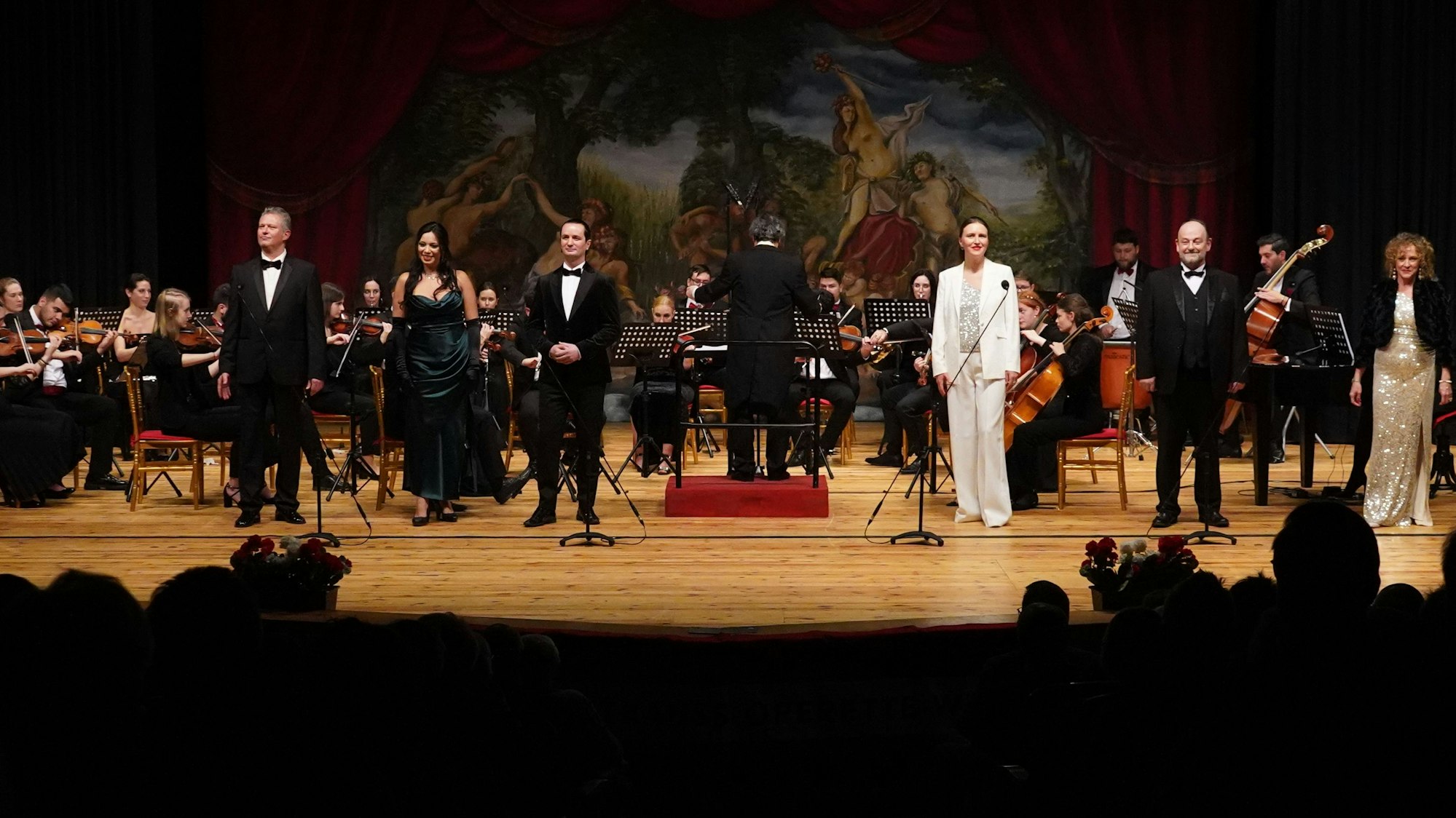 Musiker des Ensembles Johann-Strauss-Operette Wien stehen auf der Bühne.
