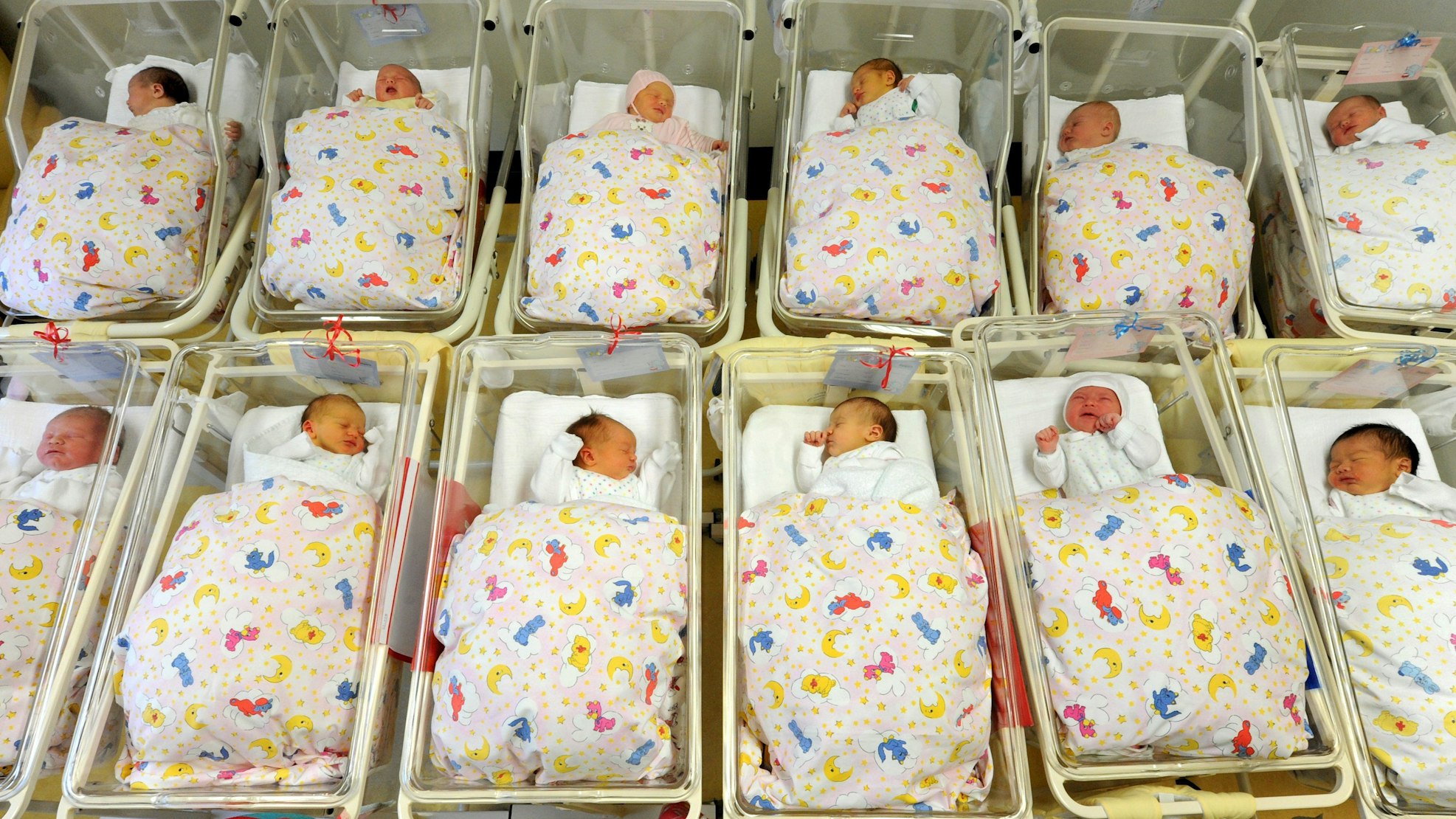 Zwölf Babys liegen zusammen auf der Neugeborenenstation im Krankenhaus.