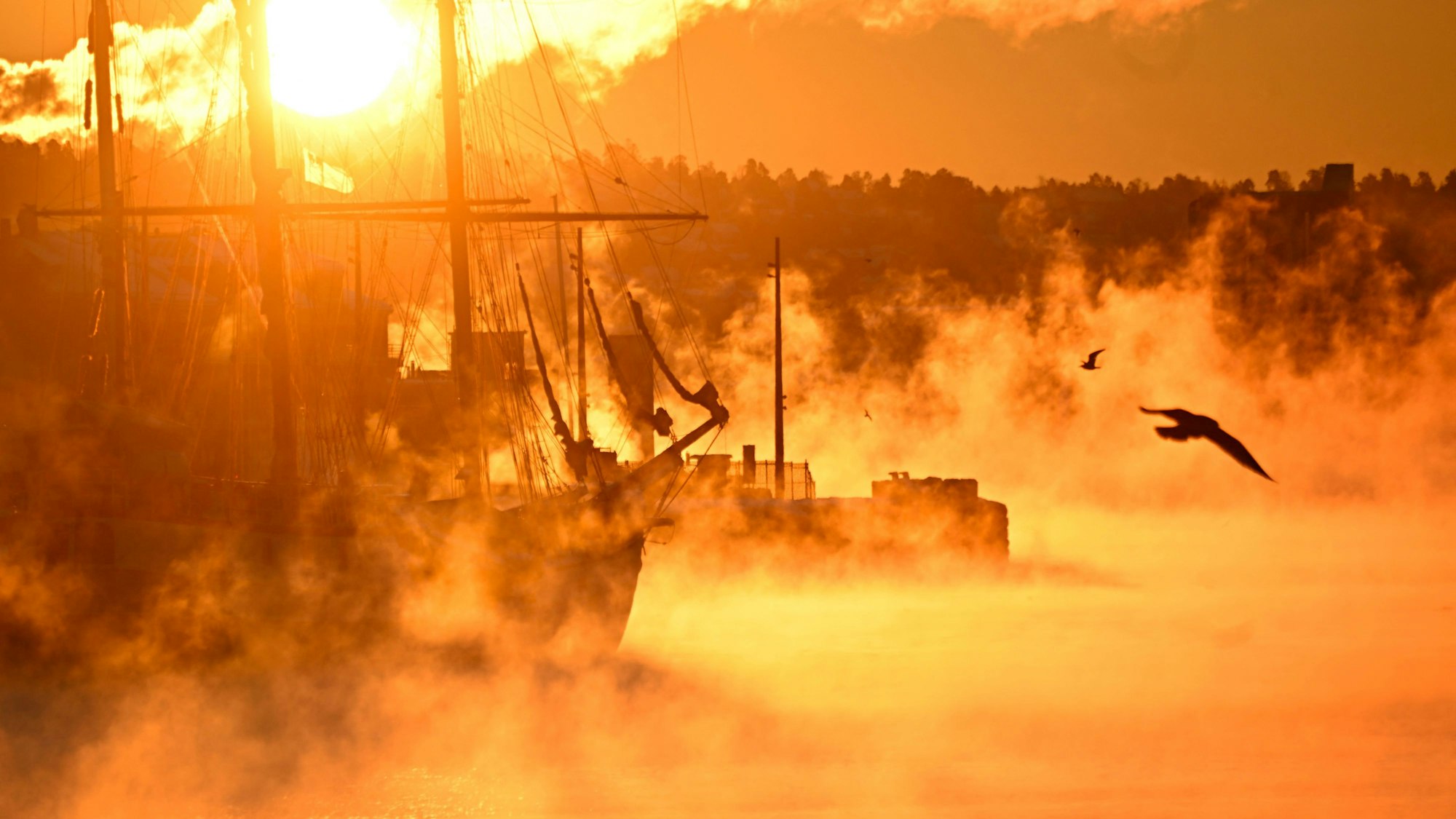 Dampf steigt im Hafen von Oslo aus dem Wasser. Die Morgensonne taucht die Szene bei ungewöhnlich tiefen Temperaturen in der norwegischen Hauptstadt in goldenes Licht.
