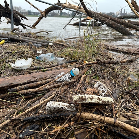Am Rheinufer in Niederkassel findet man jede Menge Plastikdosen und Styroporteile, die vom Hochwasser zurückgelassen wurden.