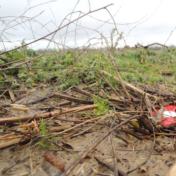 Rote Holzpflöcke künden davon: Bald sollen die Tiefbau-Arbeiten entlang der A61 beginnen. Dort soll ein Gewerbegebiet entstehen, in dem der Sneaker- und Streetwarehändler Snipes und möglicherweise auch ein Hyperscaler eröffnen wollen.