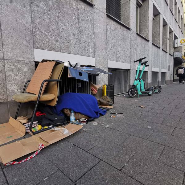Pappe dient als Dach und Unterlage.