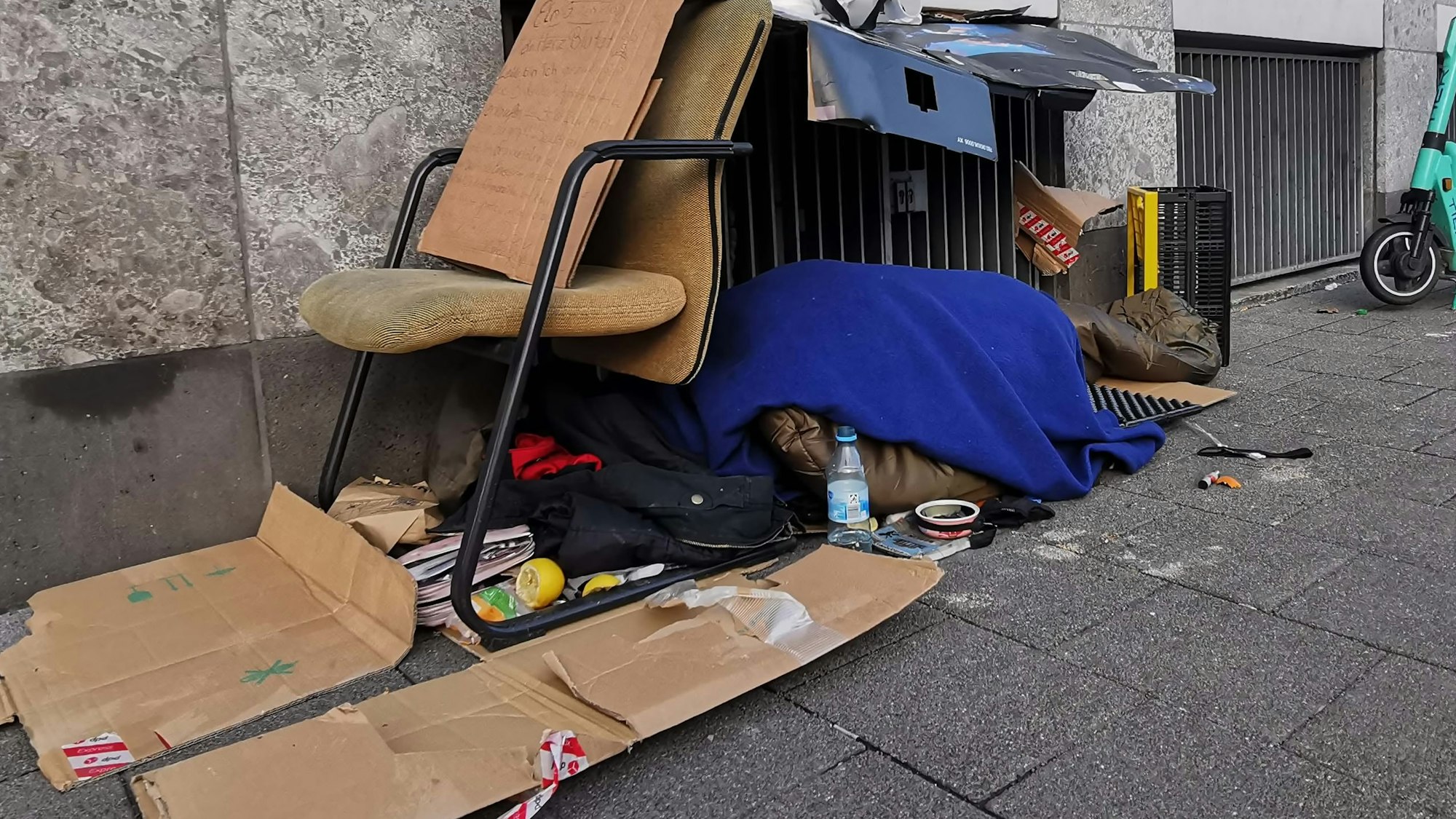 Pappe dient als Dach und Unterlage.