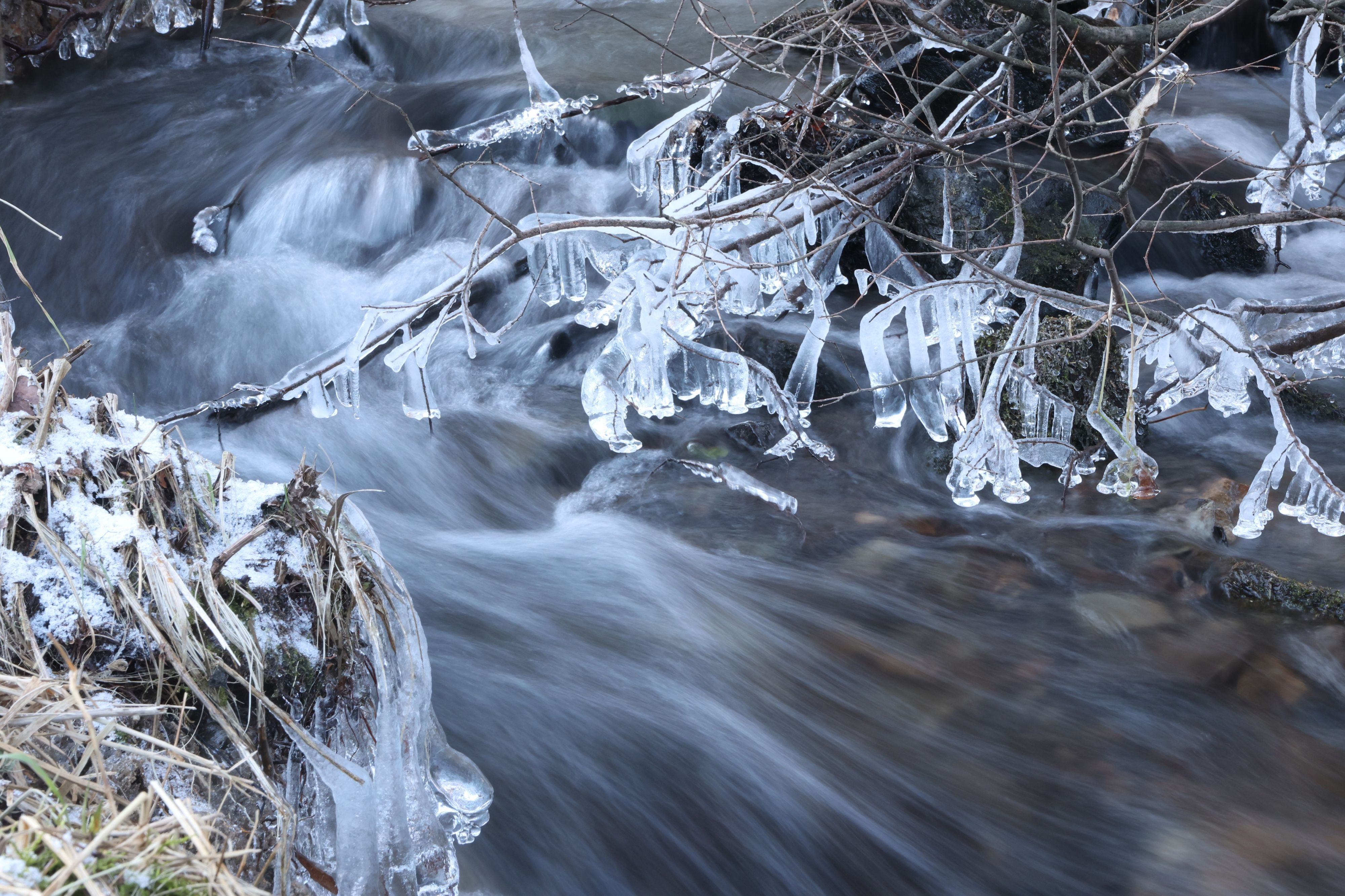 Rund um einen fließenden Bach glitzern Eisskulpturen an Ästen in der Sonne.