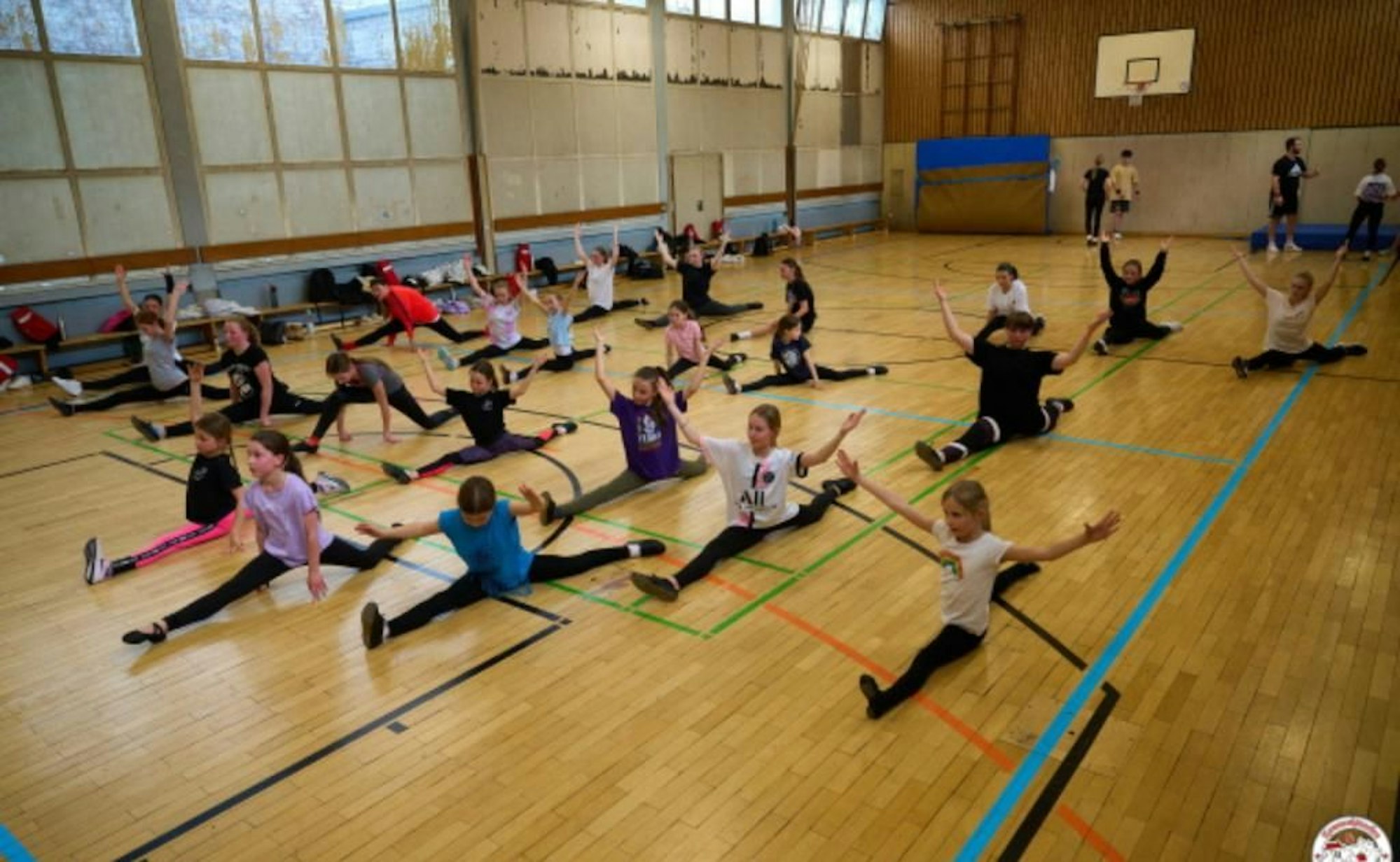 Training der Kammerkätzchen