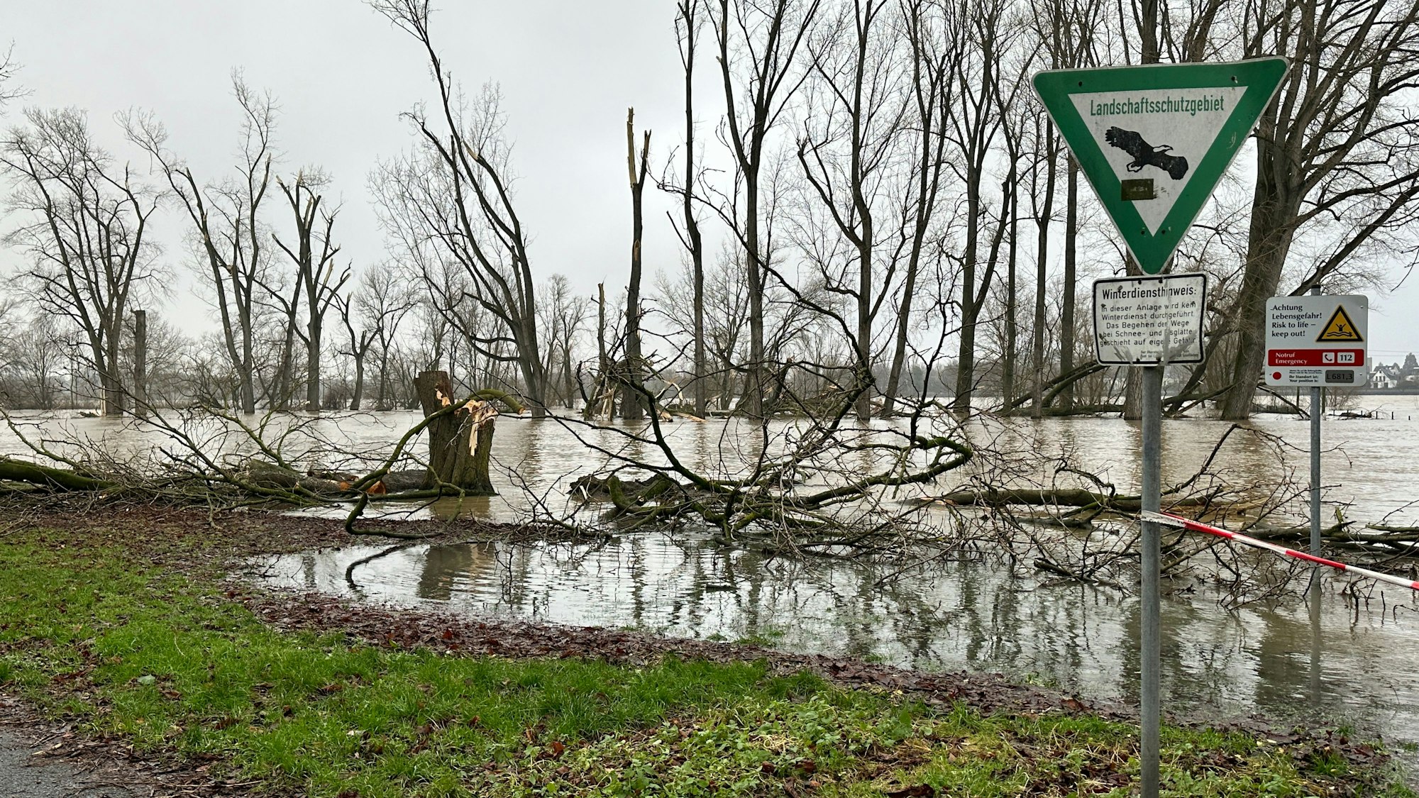 Abgeknickte Bäume liegen im Wasser.