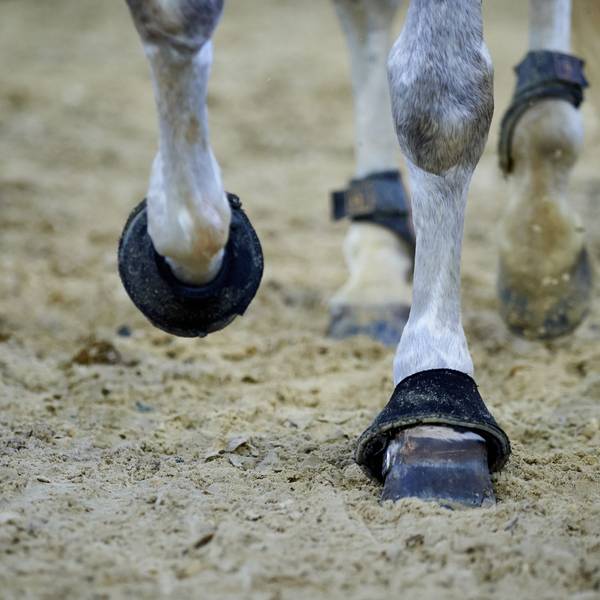 Die Hufe eines Pferds sind im Sand bei einem Reitturnier zu sehen. (Symbolbild)