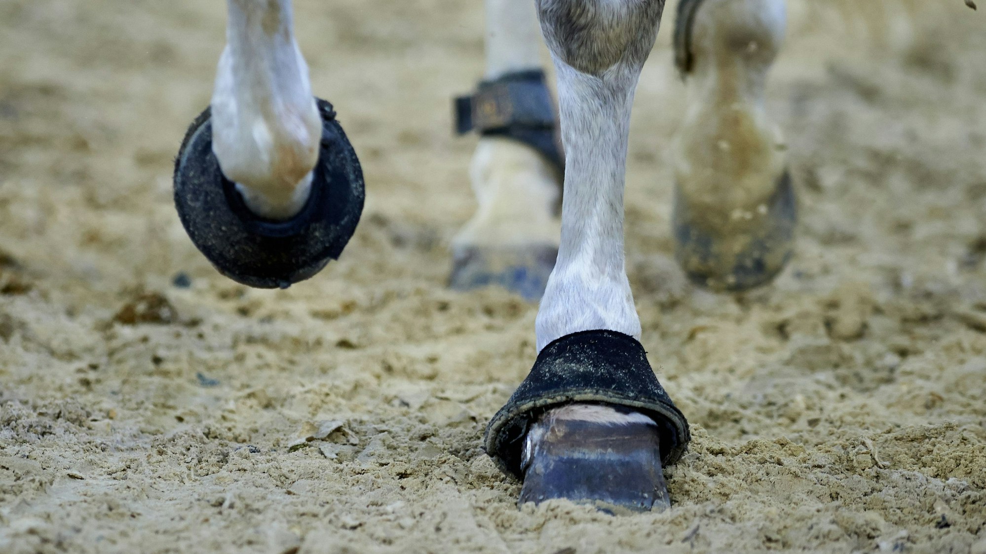 Die Hufe eines Pferds sind im Sand bei einem Reitturnier zu sehen. (Symbolbild)