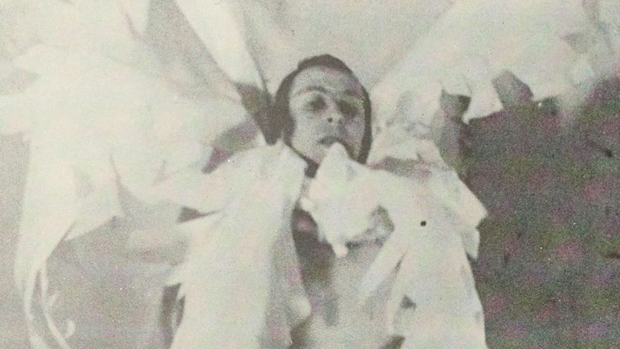 Sigmar Polke stellt sich als Palme dar.