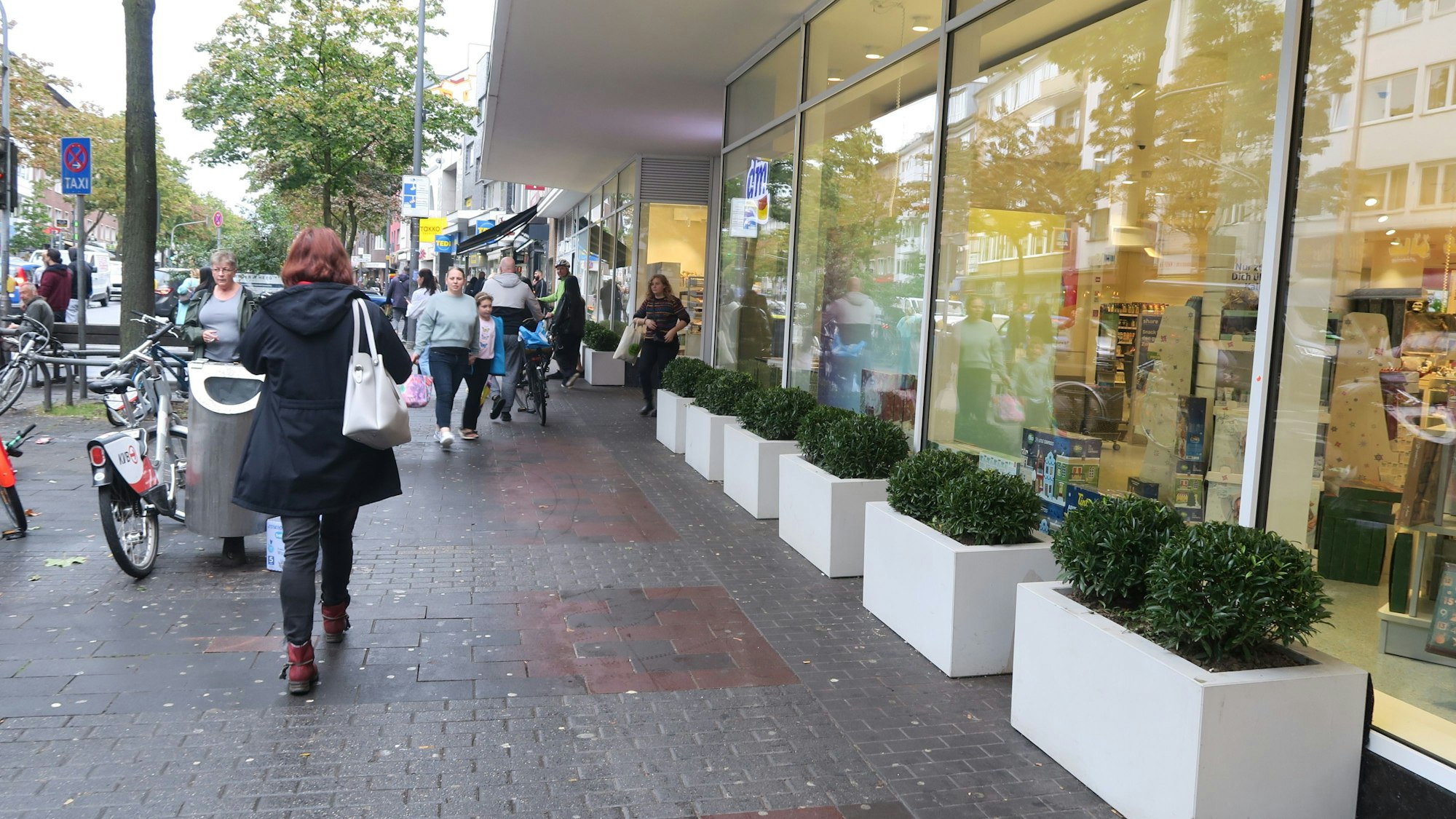Vor einer Schaufensterfront stehen Blumenkübel mit grünen Gewächsen.