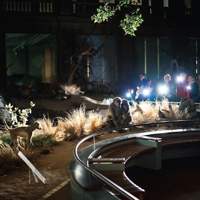 Museum König Taschenlampenführung Marc Bieschinski.