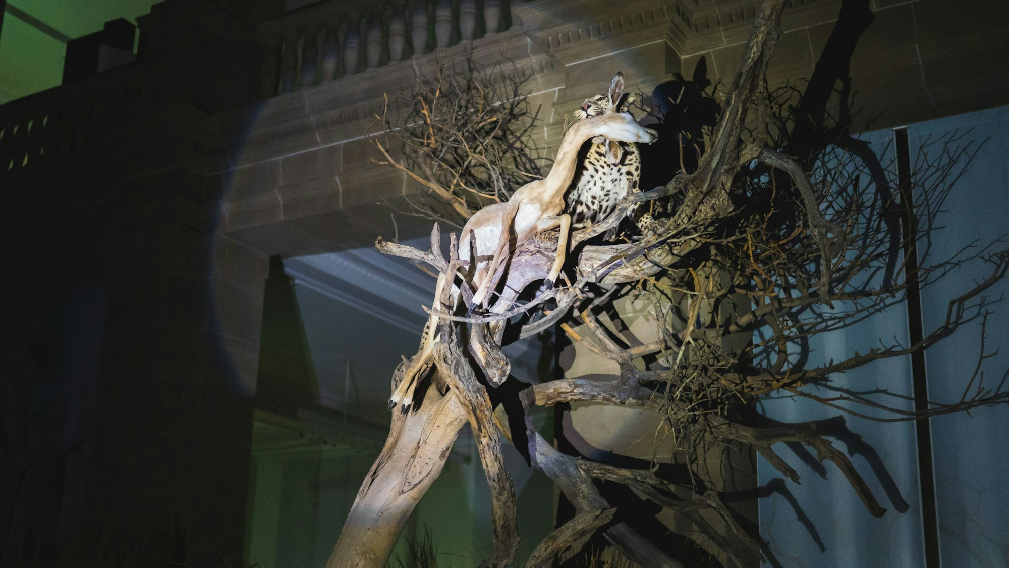 Wilde Tiere im Scheinwerferlicht scheinen lebendig zu werden.