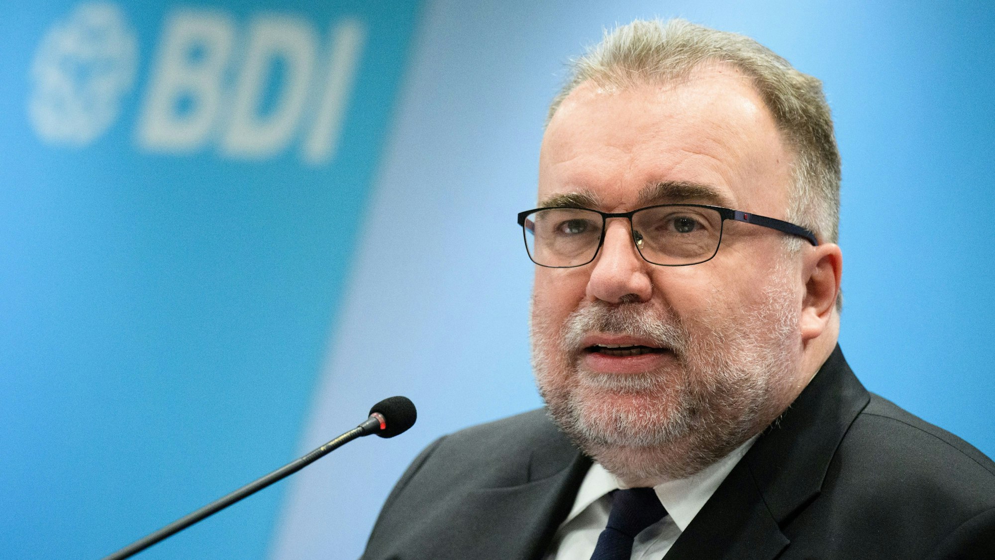 Siegfried Russwurm, Präsident des Bundesverbandes der Deutschen Industrie (BDI), hält die AfD auch wirtschaftlich für gefährlich.