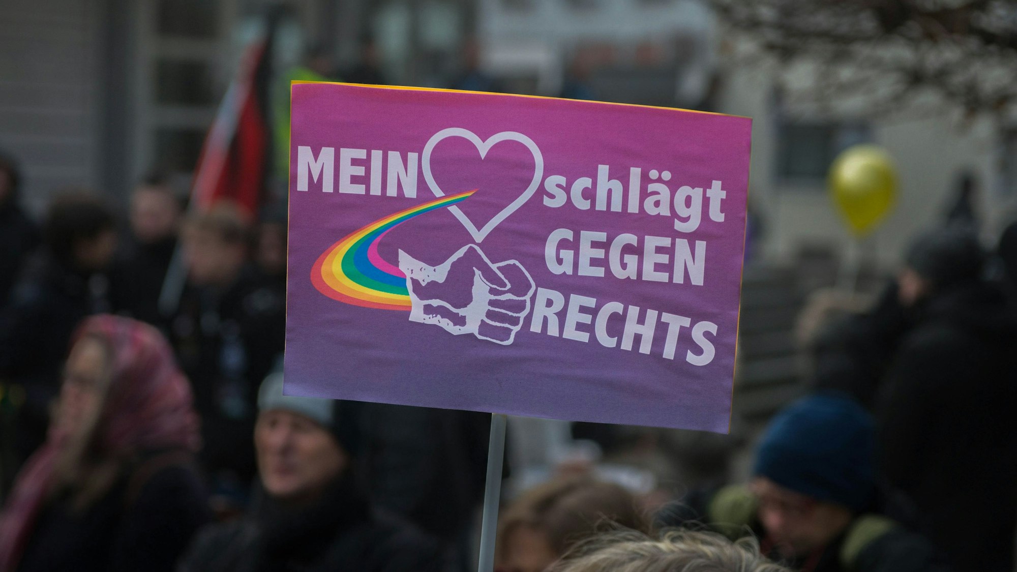 Das Bild zeigt ein Plakat während einer Demo gegen die AfD in Euskirchen.