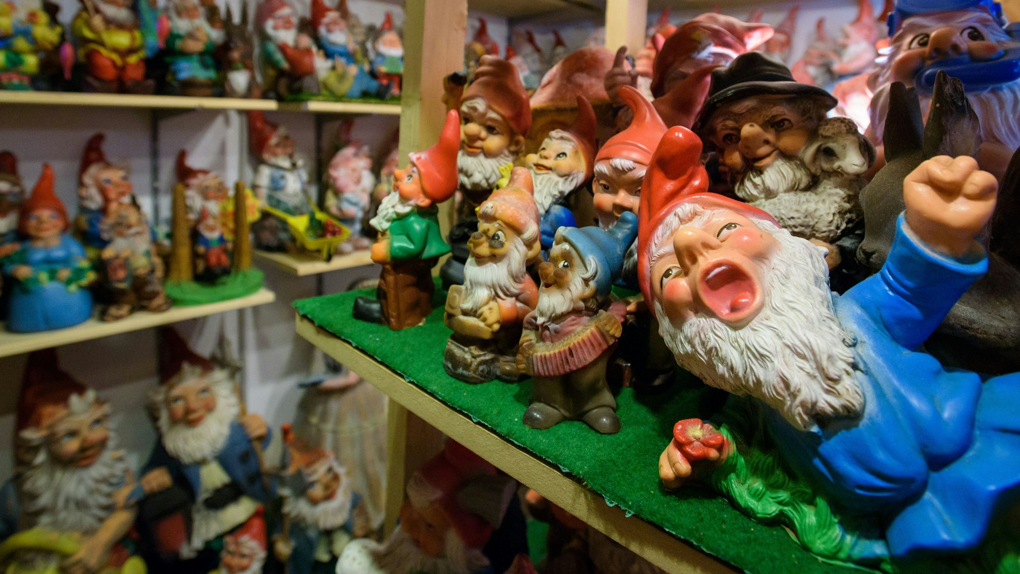 Gartenzwerge in aller Art stehen mehreren Regalen.