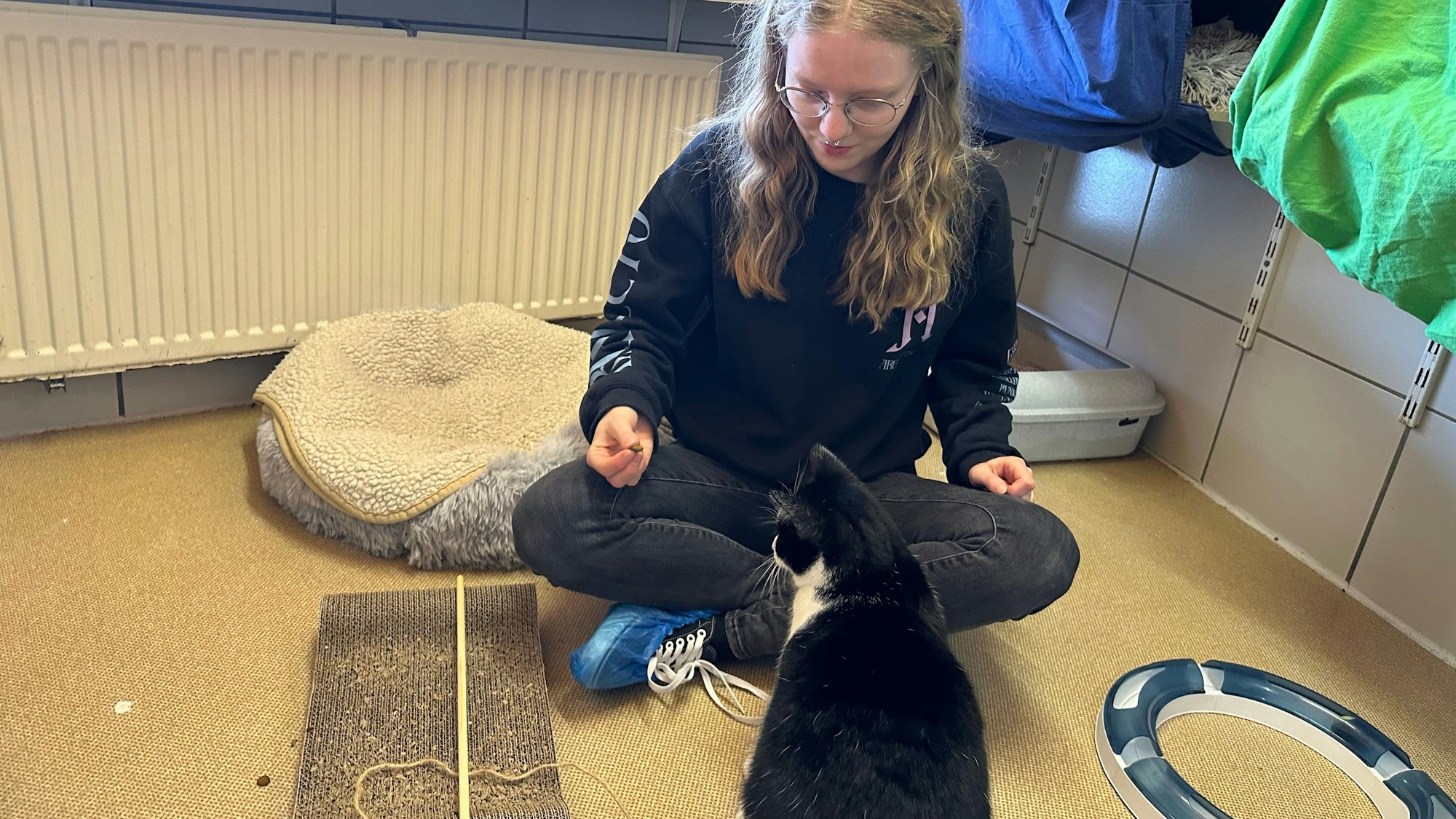 Christina Weyerts (27) ist Katzenstreichlerin im Ehrenamt im Tierheim Troisdorf.