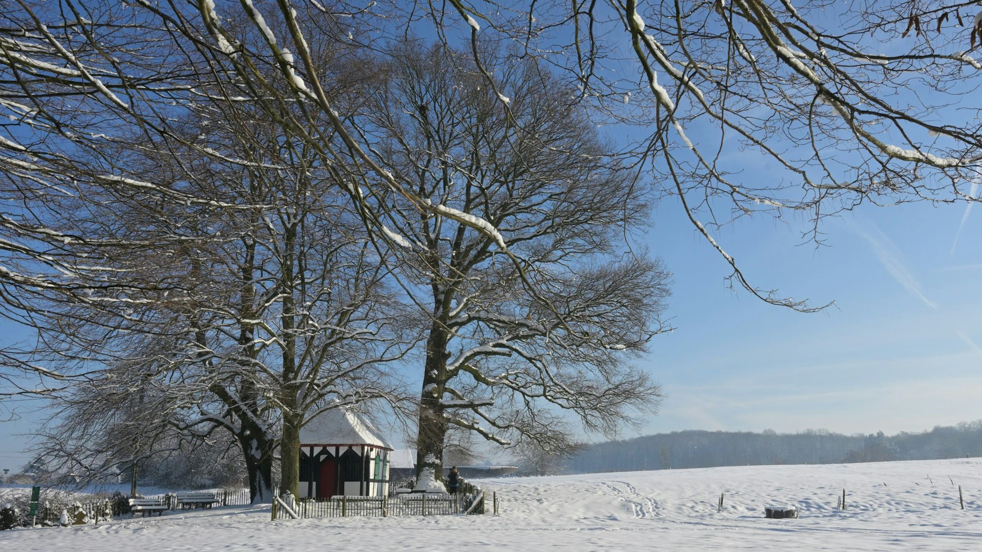 Die Rochuskapelle bei Bergisch Gladbach-Sand steht unter Bäumen in einer winterlichen Landschaft.