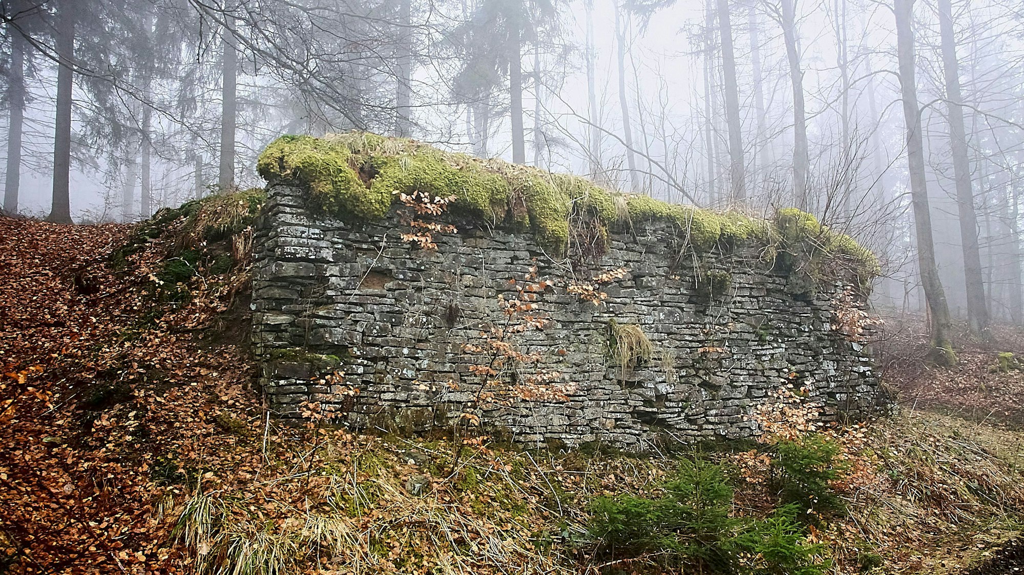 Reste der einstigen Skisprungschanze im Wald von Hollerath.