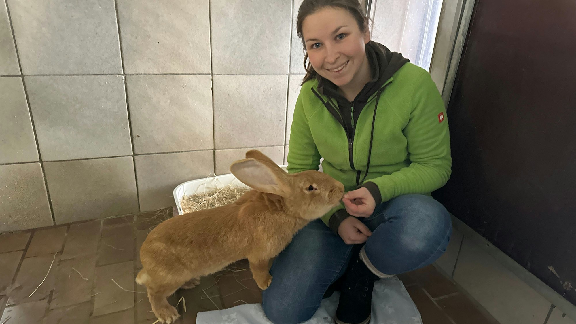 Chantal Paus leitet die Abteilung für Kleintiere im Troisdorfer Tierheim. Hier füttert sie Felix, ein Deutscher Riese, der 8 Monate alt ist und ausgesetzt wurde.