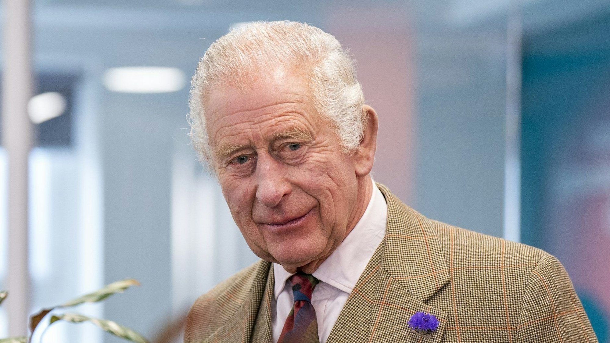 Verfechter alternativer Heilmethoden: König Charles III.