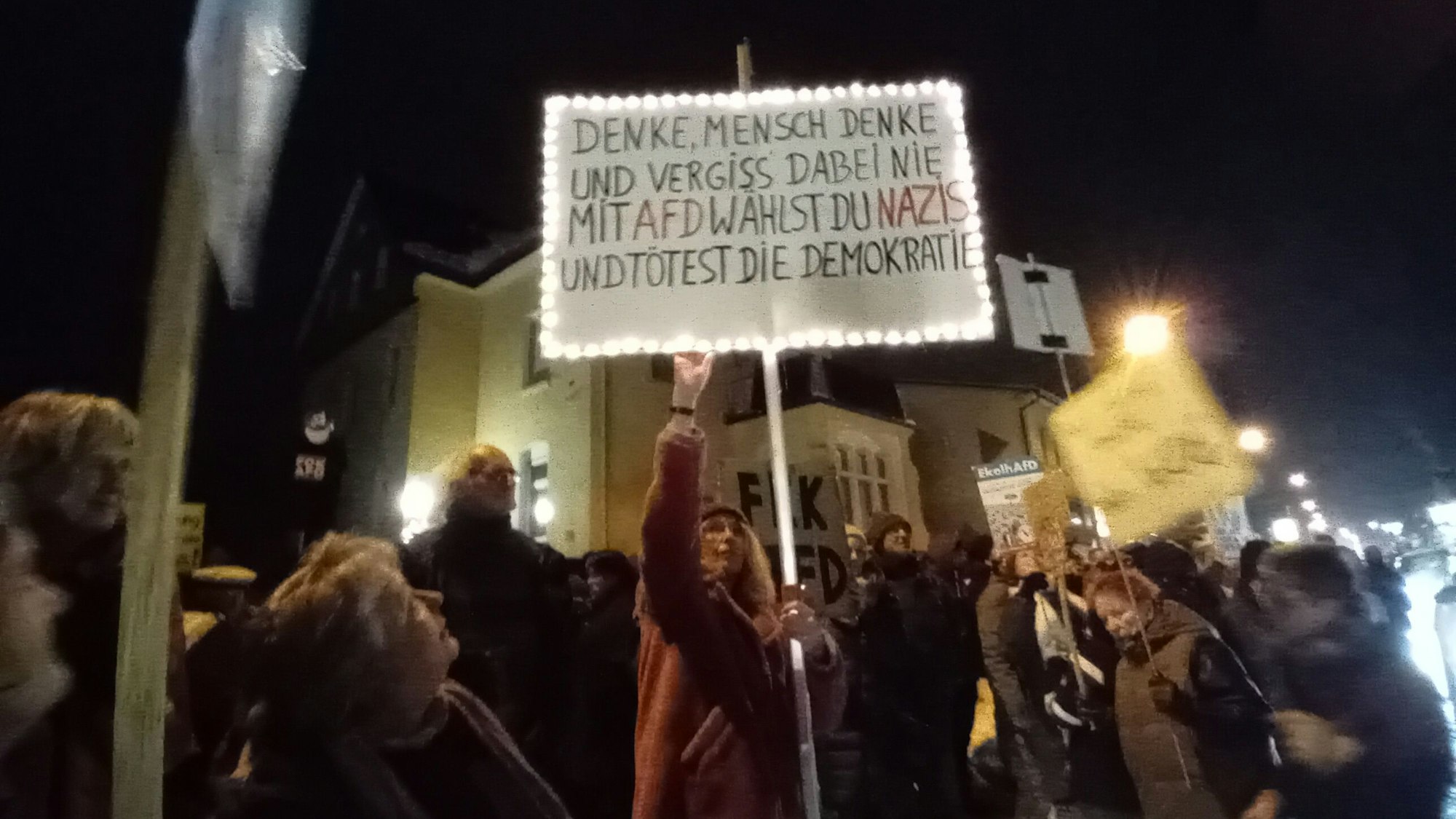 Eine Demonstrantin hält ein Schild mit einem Spruch gegen die AfD hoch.