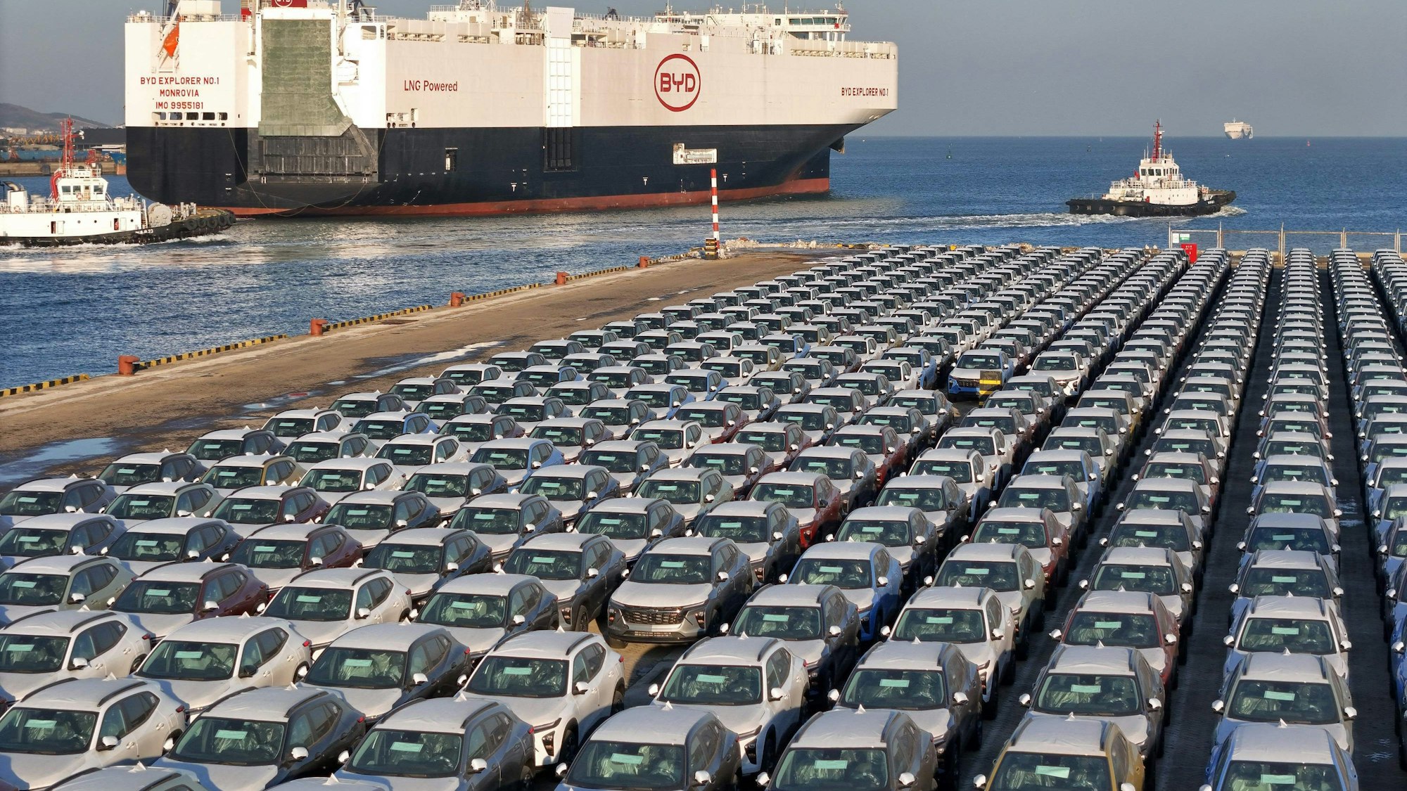 E-Autos der chinesischen Marke BYD warten auf ihre Verladung.