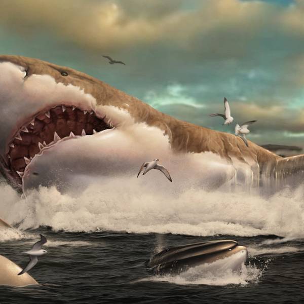 Eine künstlerische Darstellung des Ur-Hais Megalodon.