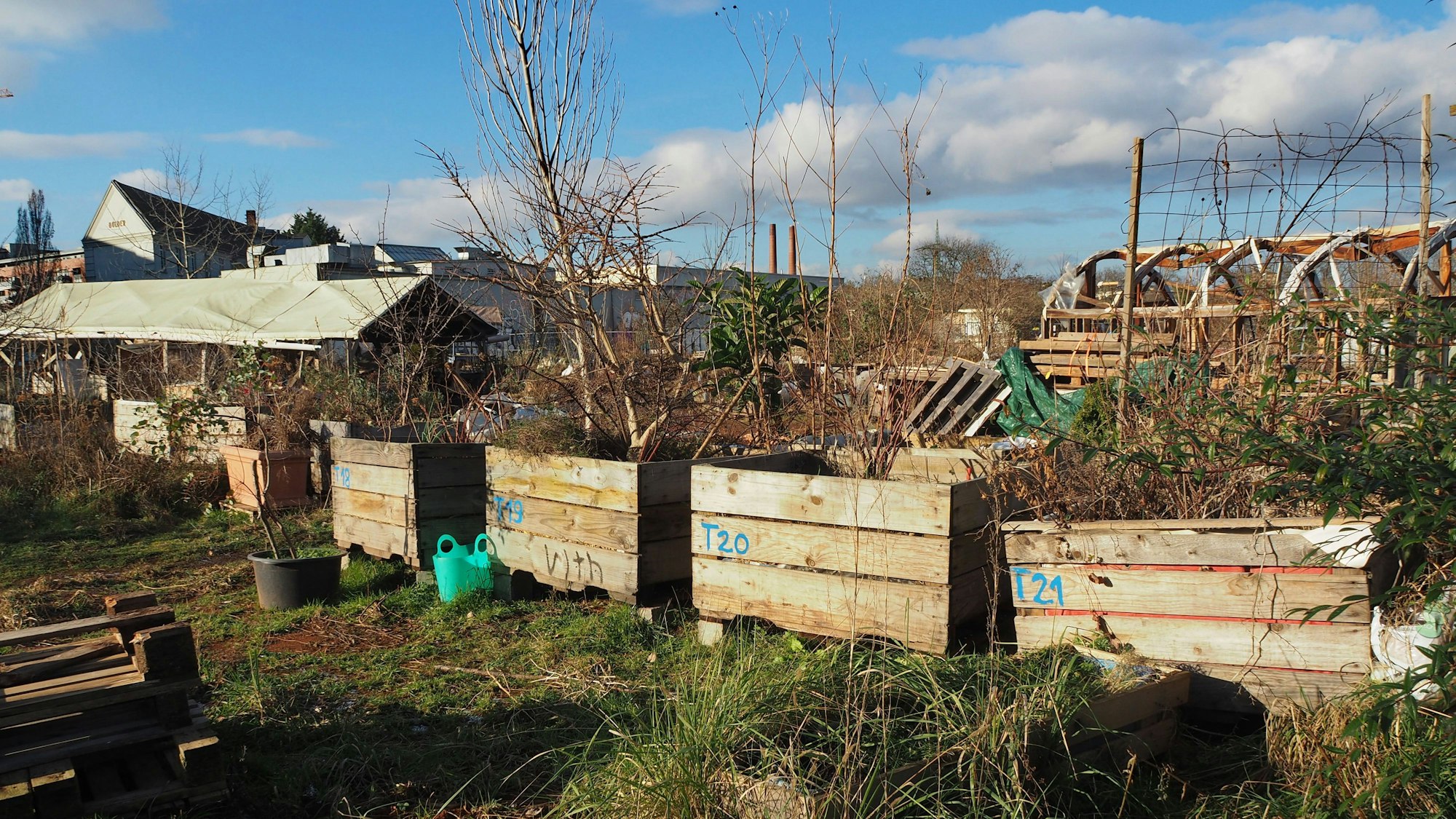 Die Pflanzen sind für den Umzug in Transportkisten untergebracht.