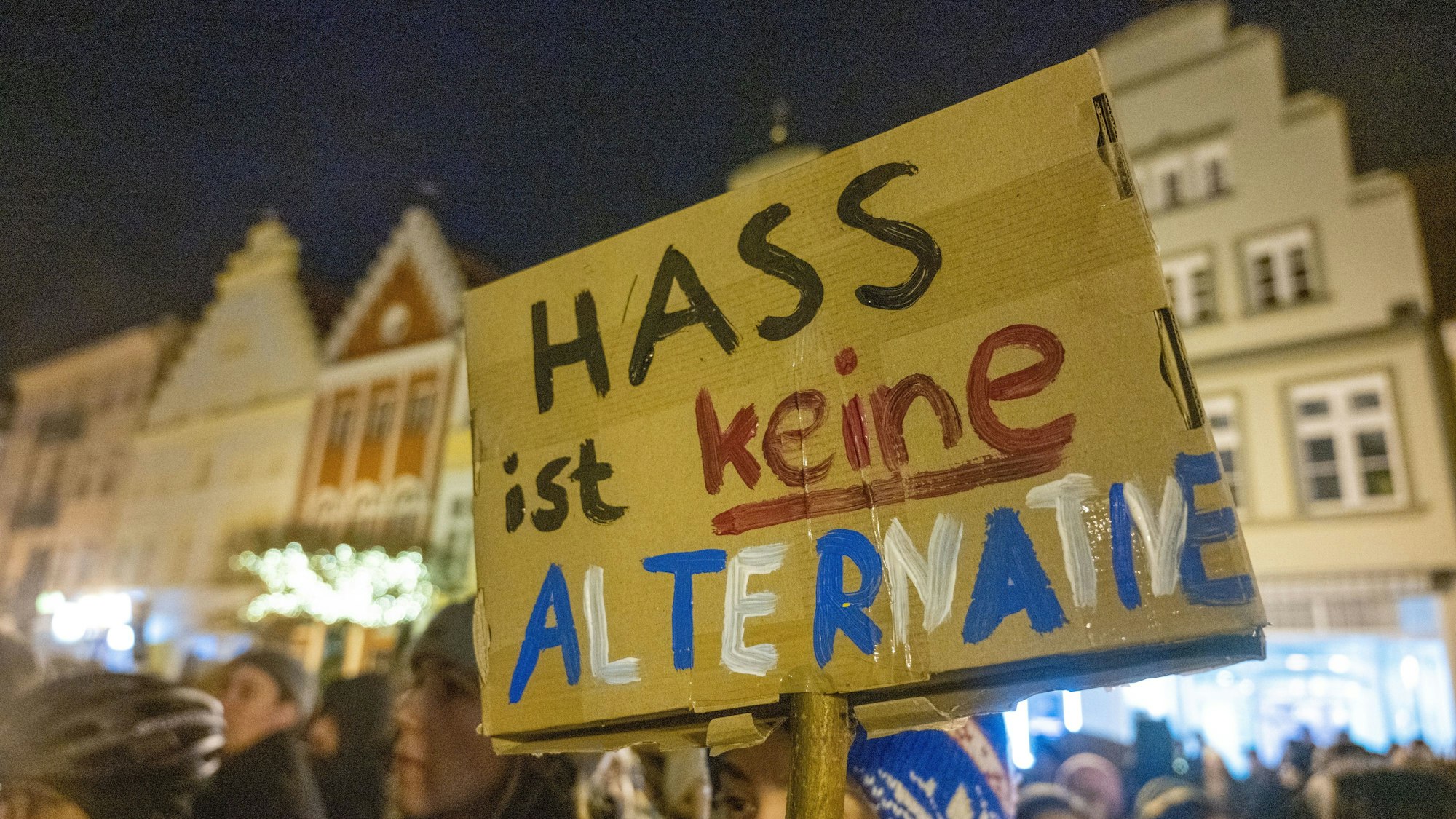 Auf dem Bild sieht man ein Plakat, auf dem "Hass ist keine Alternative" lesen kann. Es stammt von einer Demonstration in Greifswald am 22.01.2024, die gegen die AfD und gegen Rechtsextremismus stattgefunden hat.