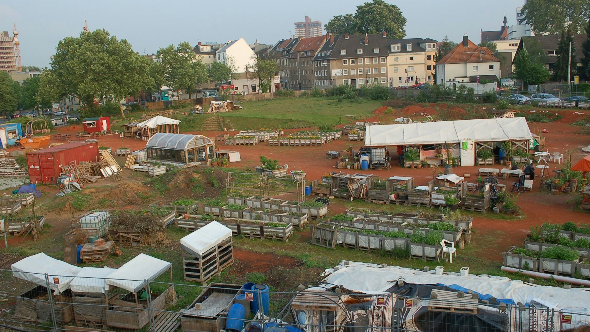 Auf einer Fläche werden Blumen und Gemüse angepflanzt.