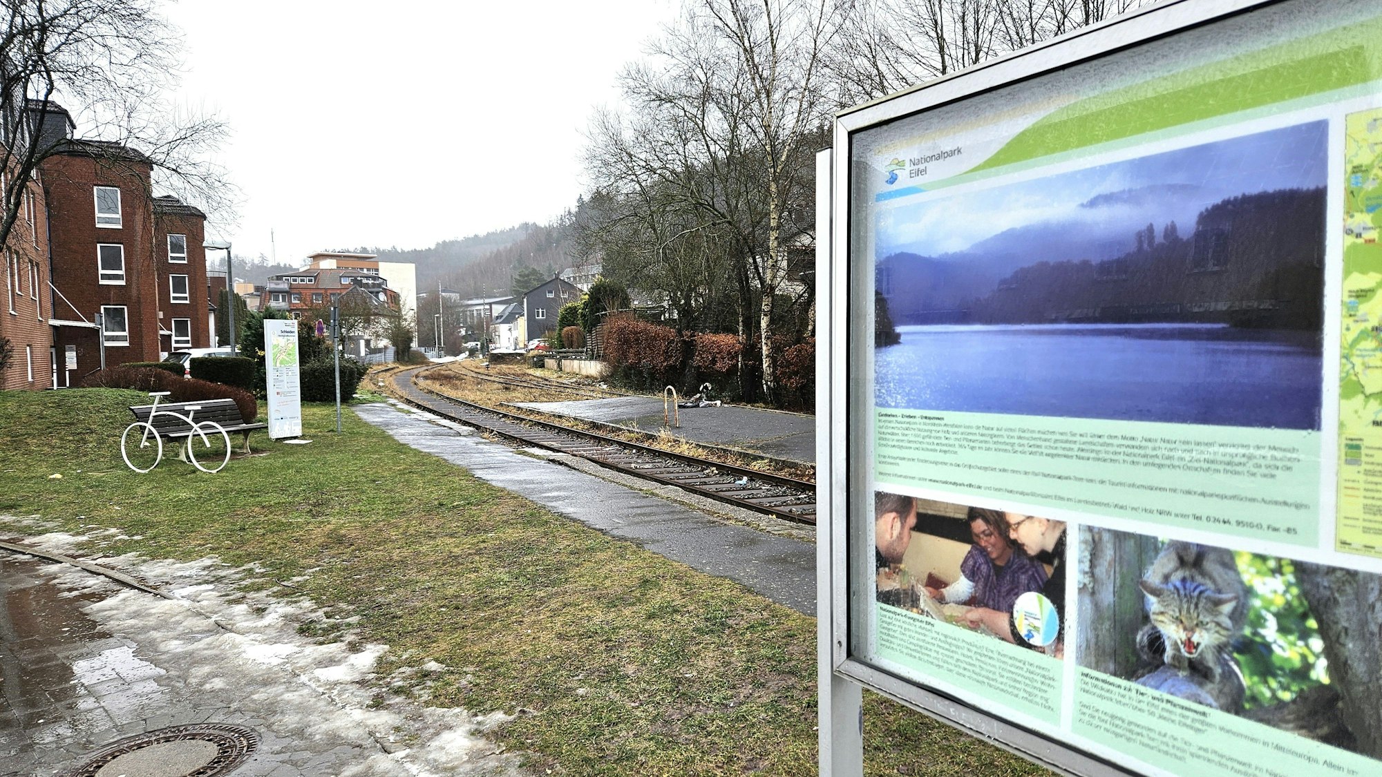 Auf dem Foto ist eine Grünfläche neben einem Bahngleis zu sehen.