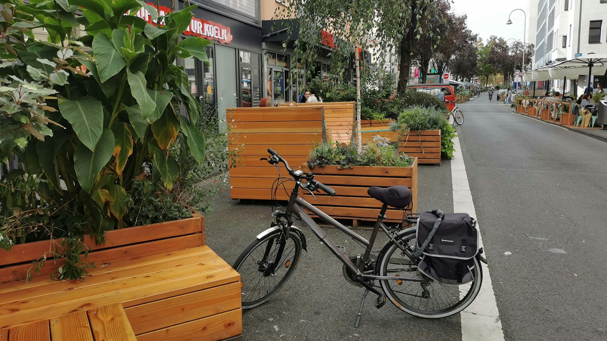 Sitzmöbel und Pflanzen auf der Deutzer Freiheit