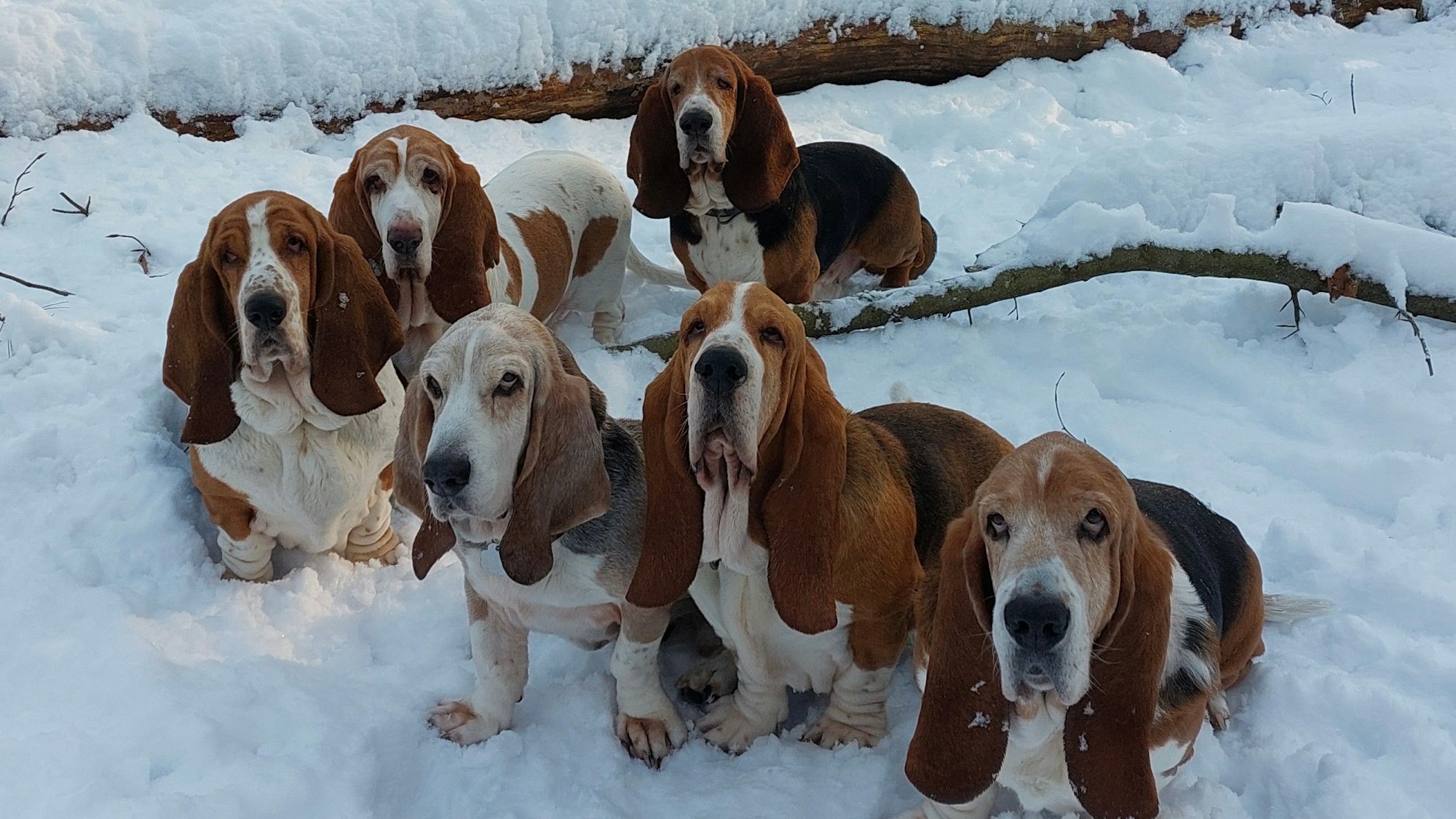Kalte Ohren? Wenn sich Begeisterung in Grenzen hält...