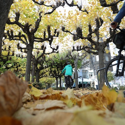 Herbstlaub liegt auf der Rheinpromenade, auf der gerade zwei Radfahrer unterwegs sind.