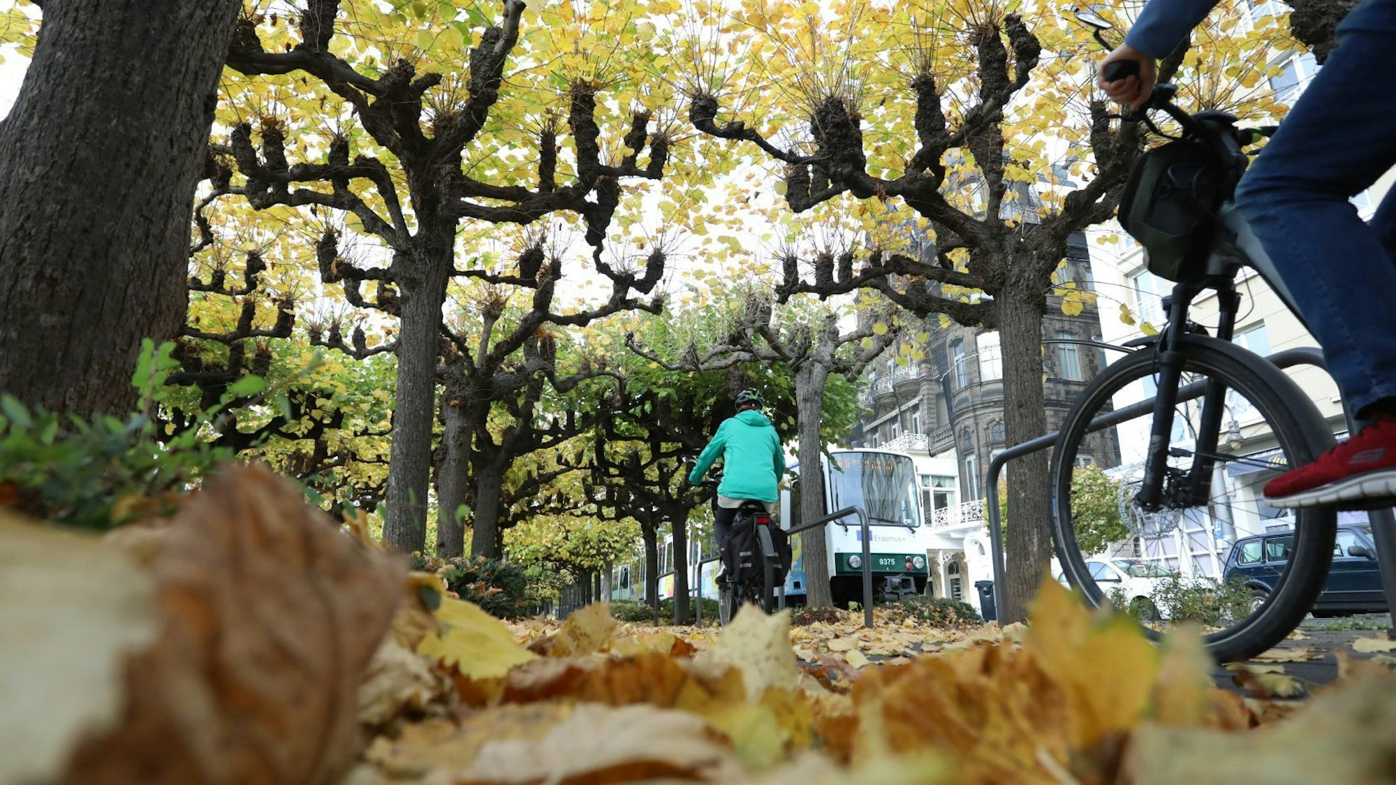 Herbstlaub liegt auf der Rheinpromenade, auf der gerade zwei Radfahrer unterwegs sind.