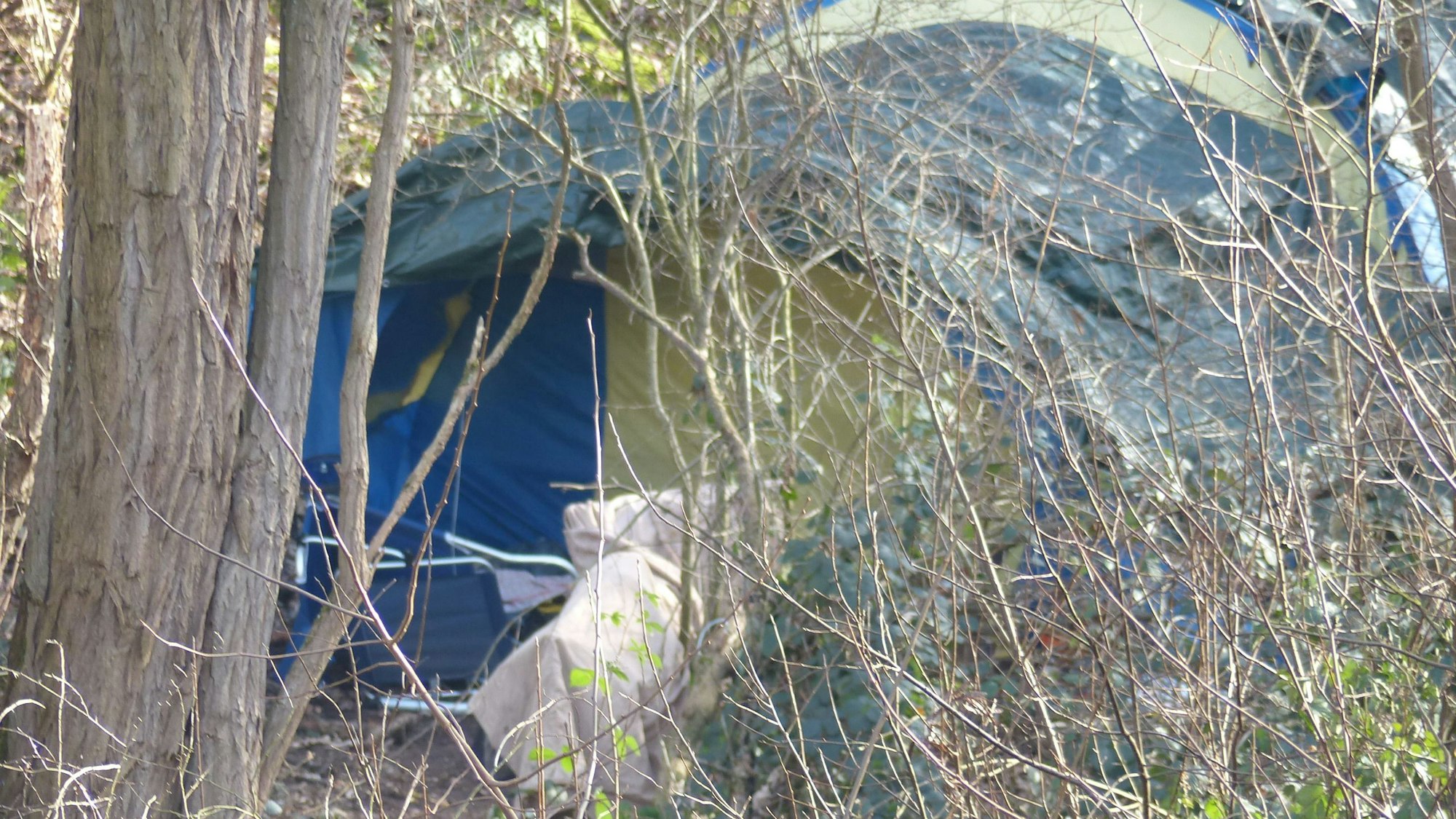 Zu sehen ist ein Zelt hinter Sträuchern und Bäumen.